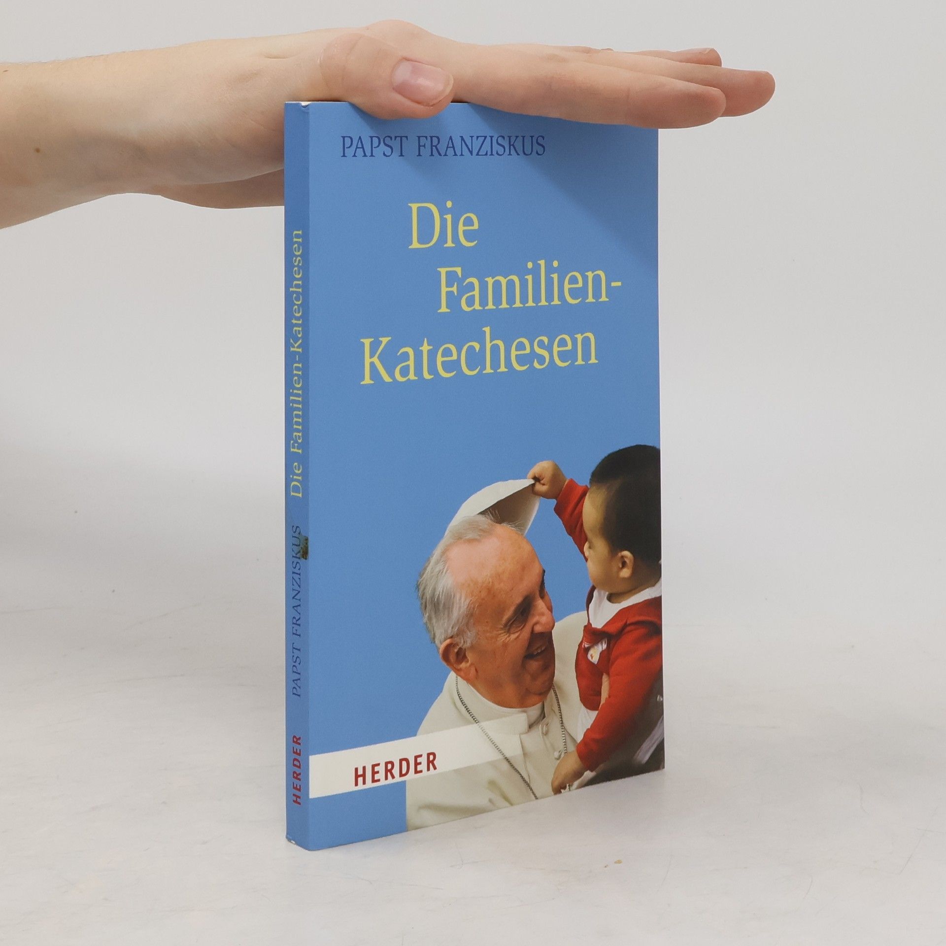 Papež František Die Familien-Katechesen