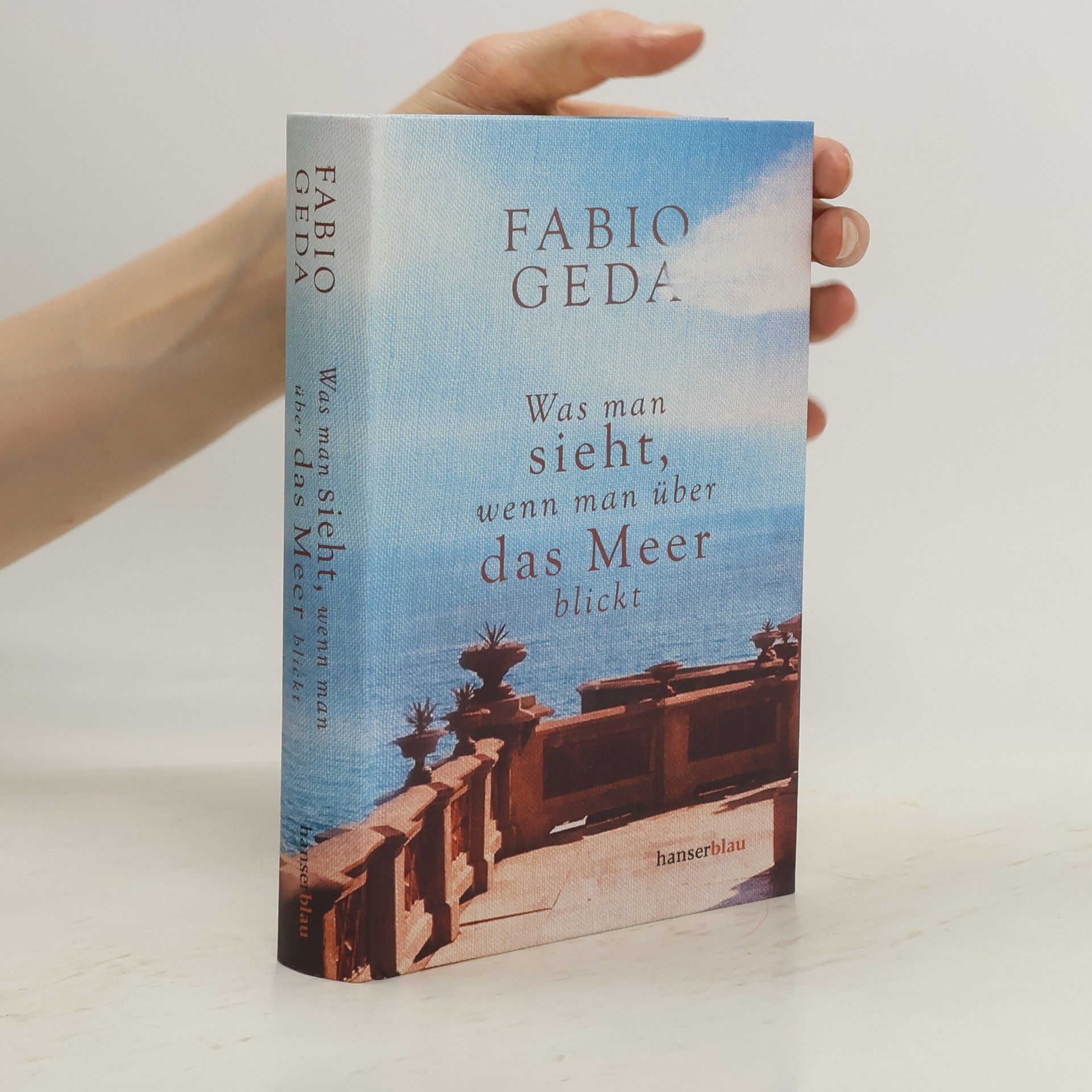 Fabio Geda Was man sieht, wenn man über das Meer blickt