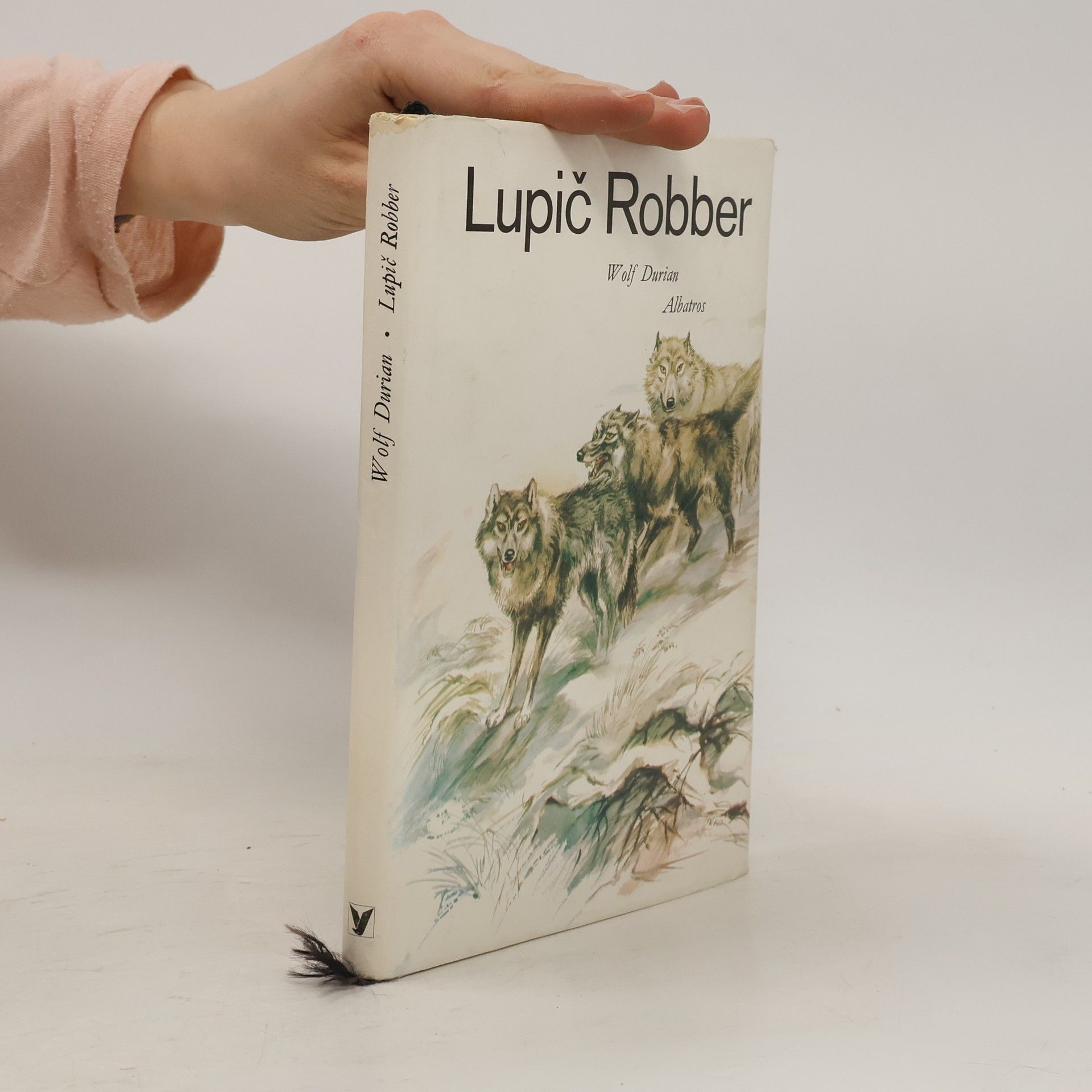 Inka Delevová Lupič Robber