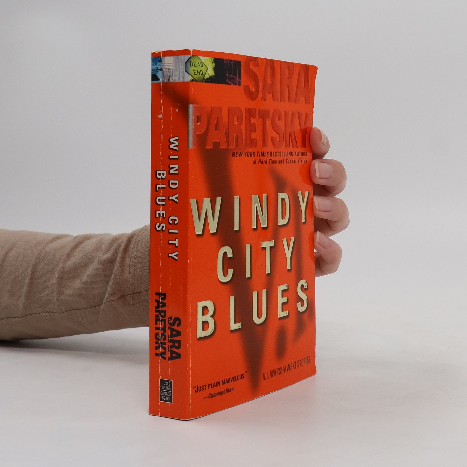 Sara Paretsky Windy City Blues