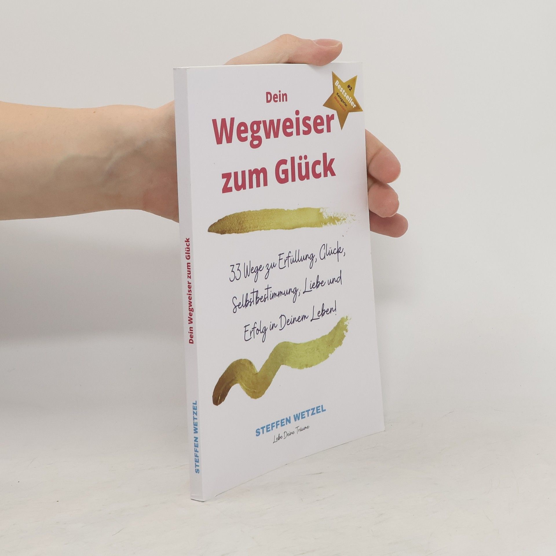 Steffen Wetzel Dein Wegweiser zum Glück