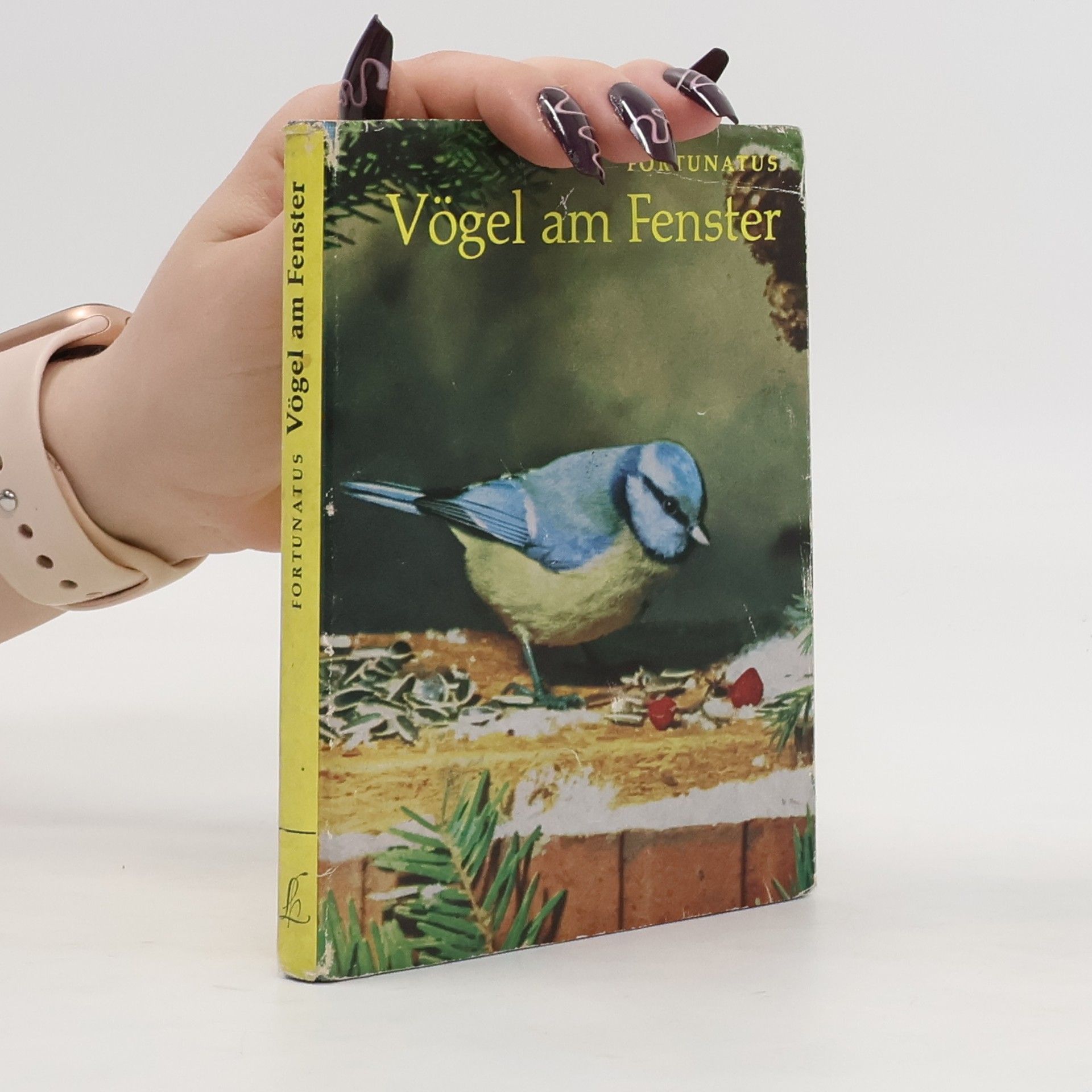 Fortunatus Vögel am Fenstér