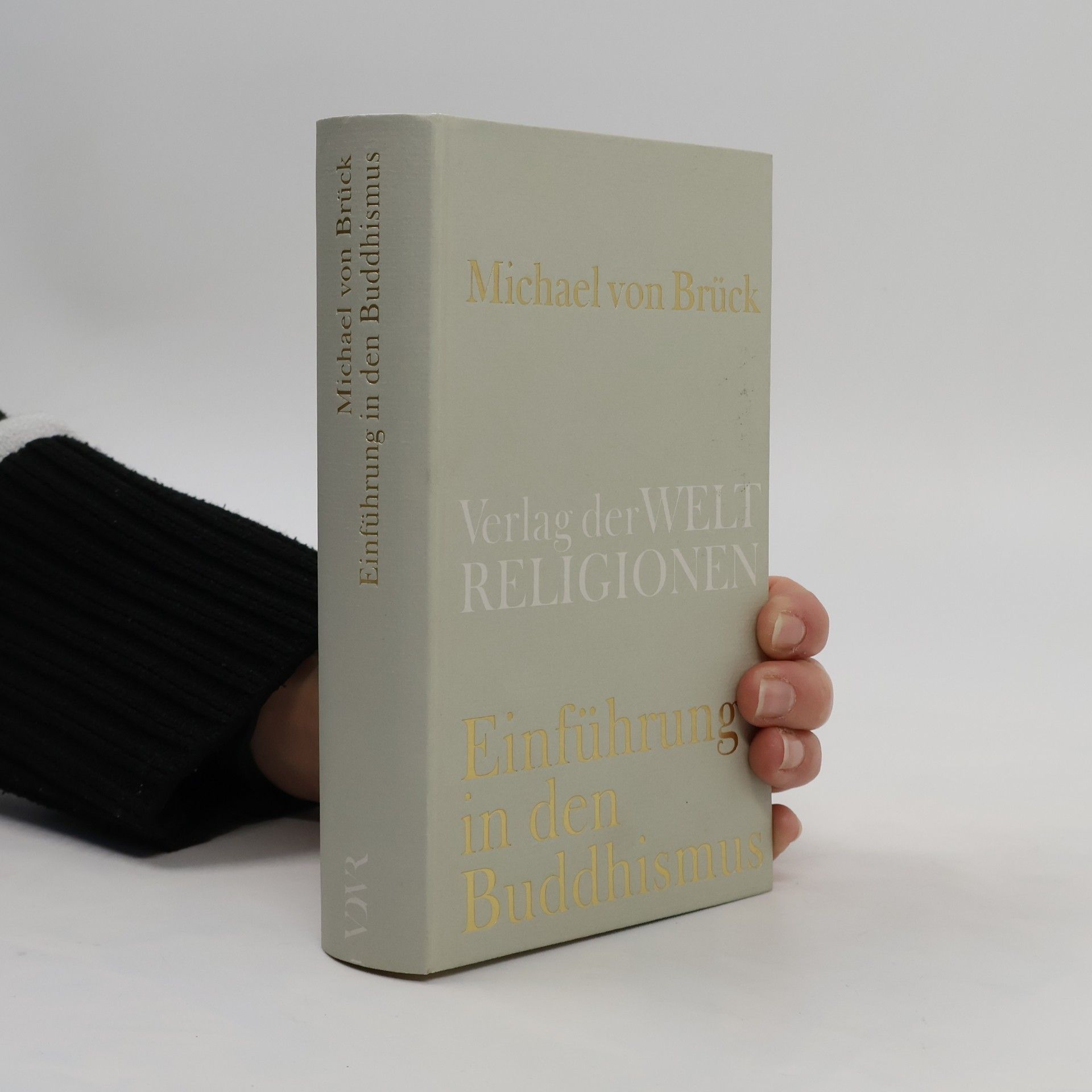 Michael von Brück Einführung in den Buddhismus