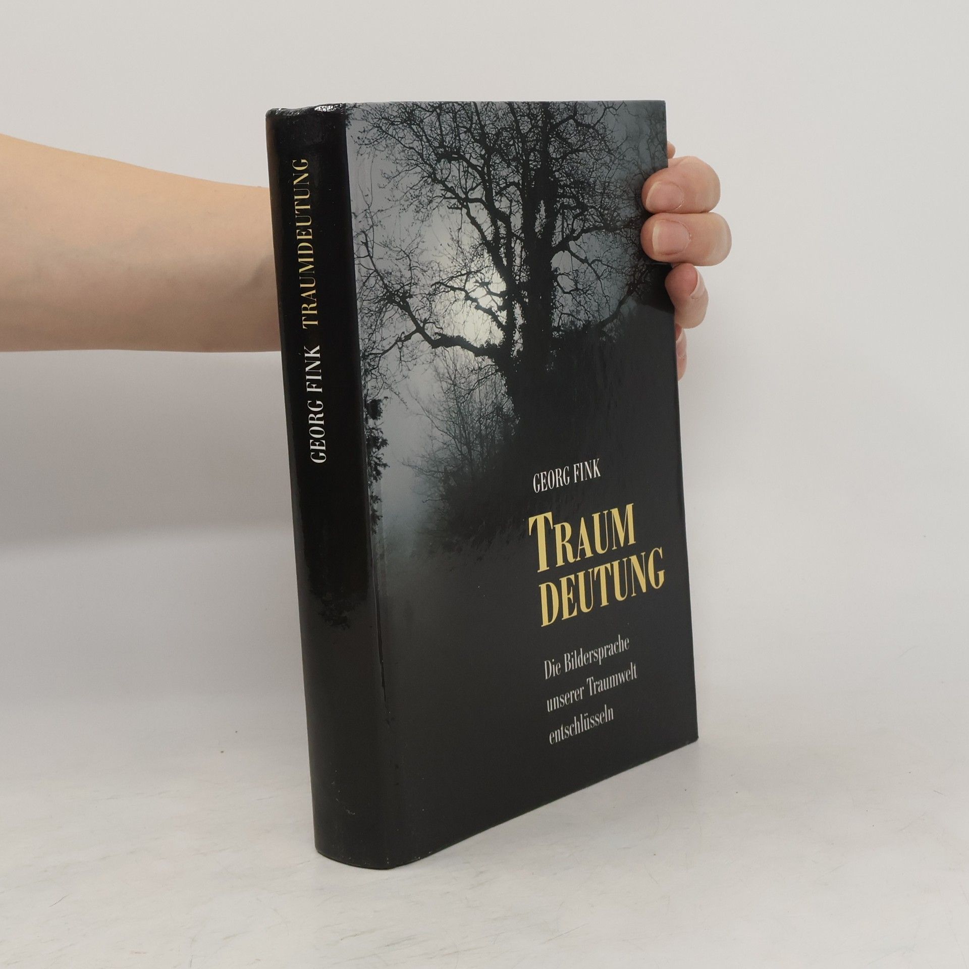 Georg Fink Traum Deutung Die Bildersprache unserer Traumwelt entschlüsseln