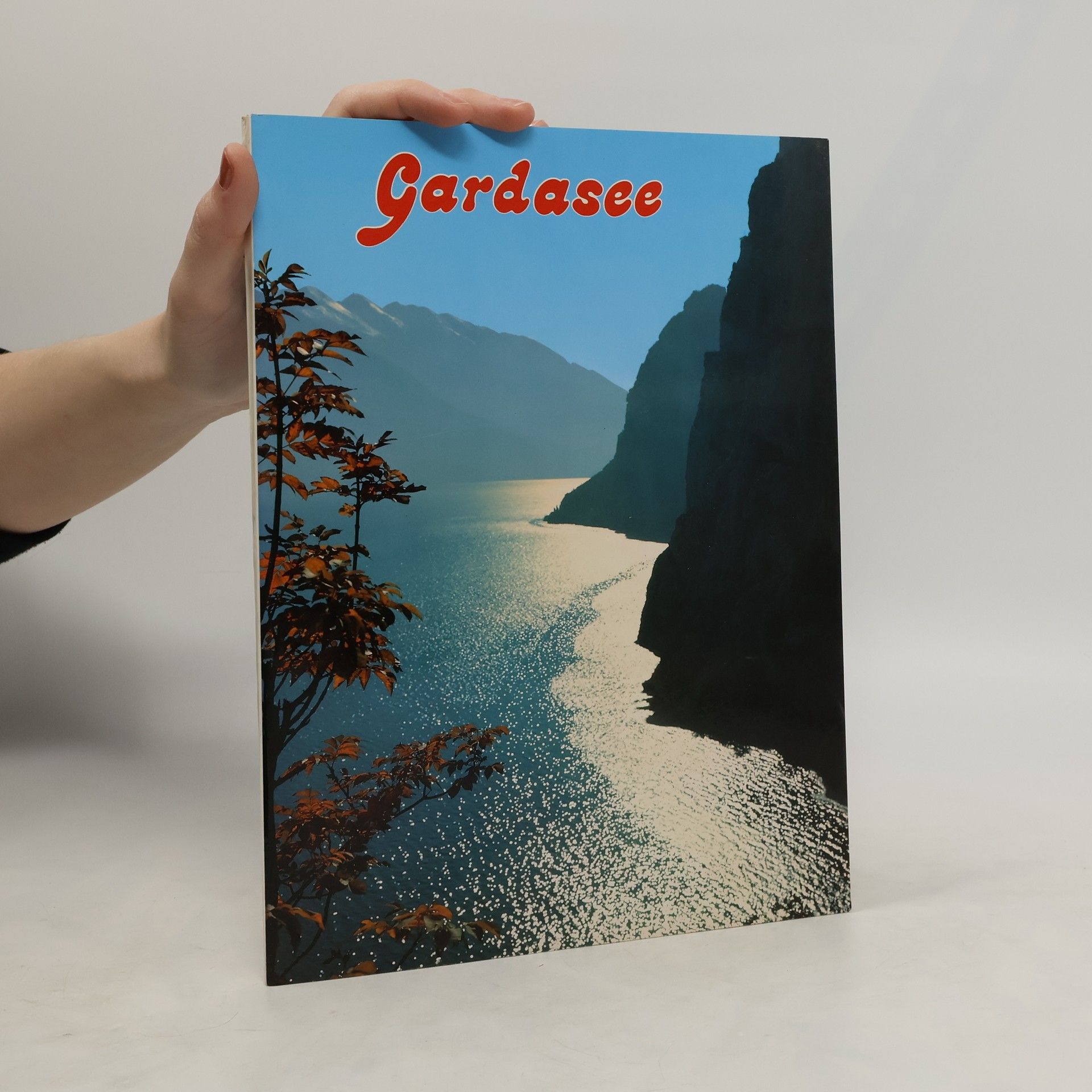 Autorenkollektiv Gardasee