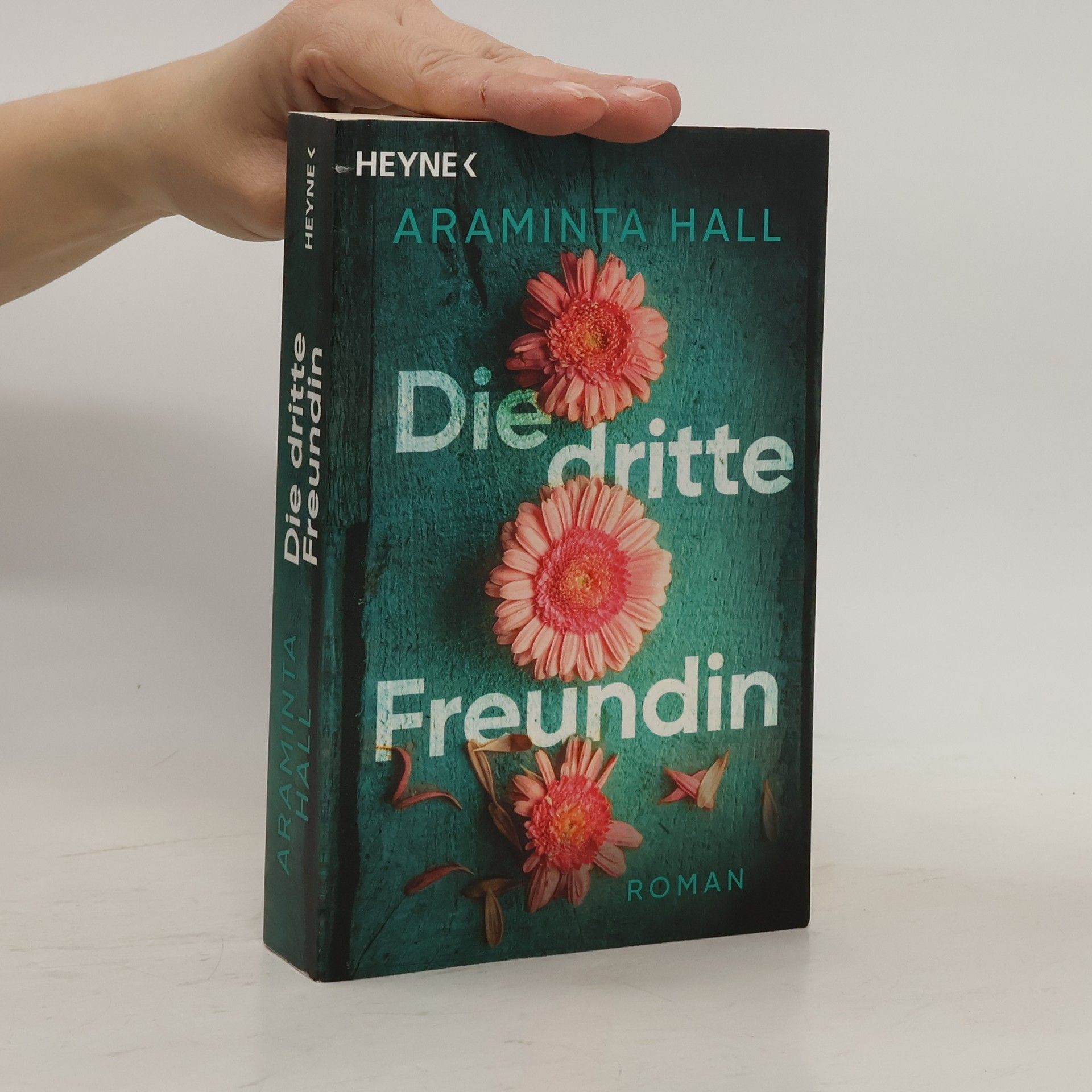 Araminta Hall Die dritte Freundin