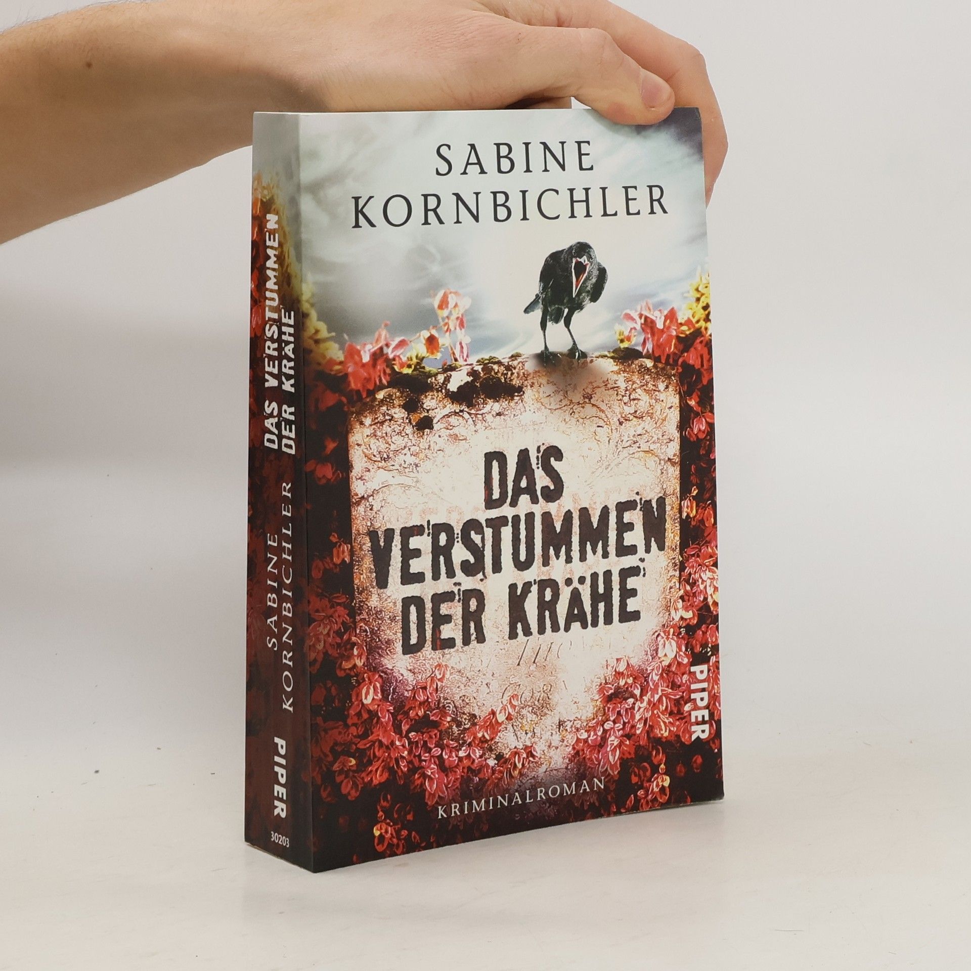 Sabine Kornbichler Das Verstummen der Krähe