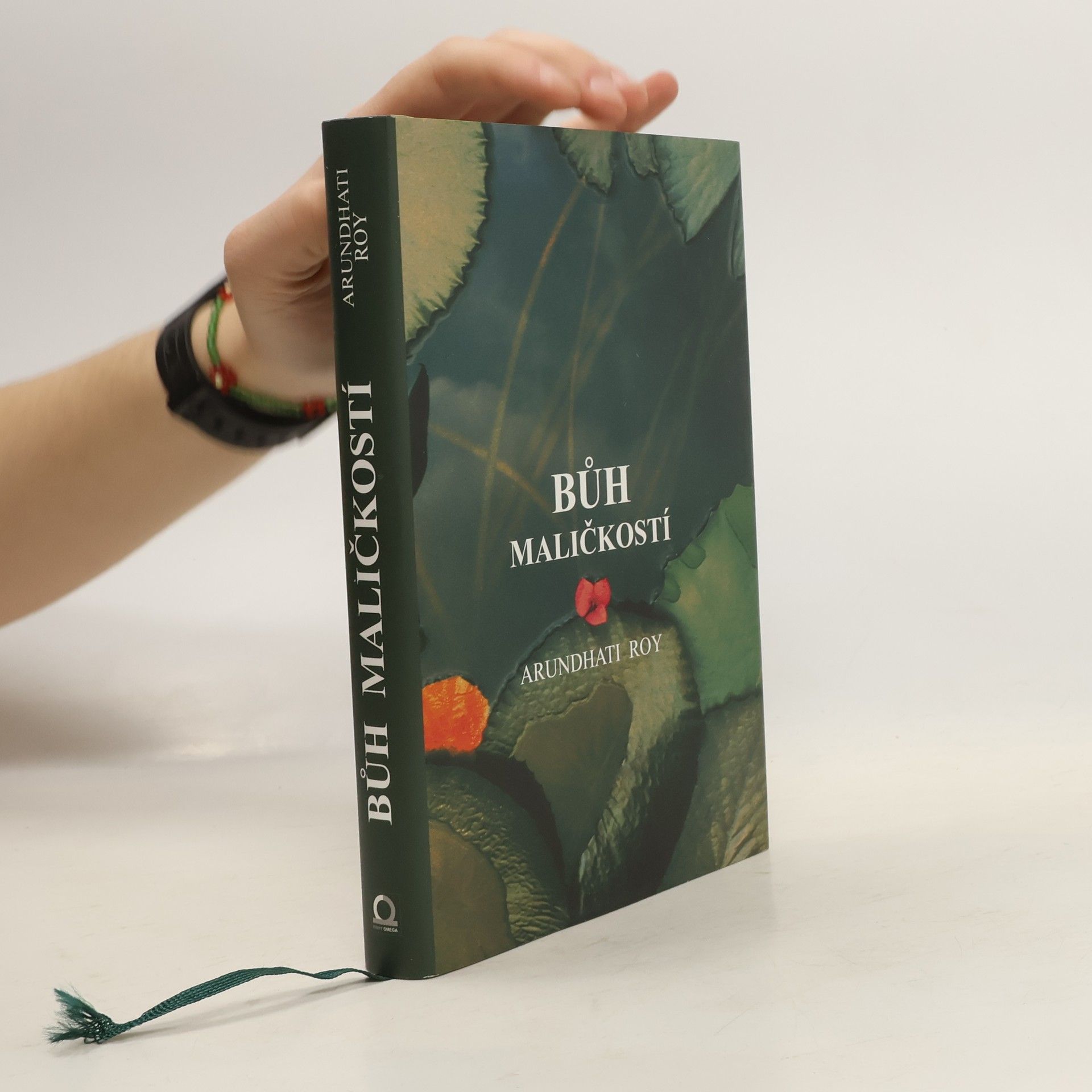 Arundhati Roy Bůh maličkostí