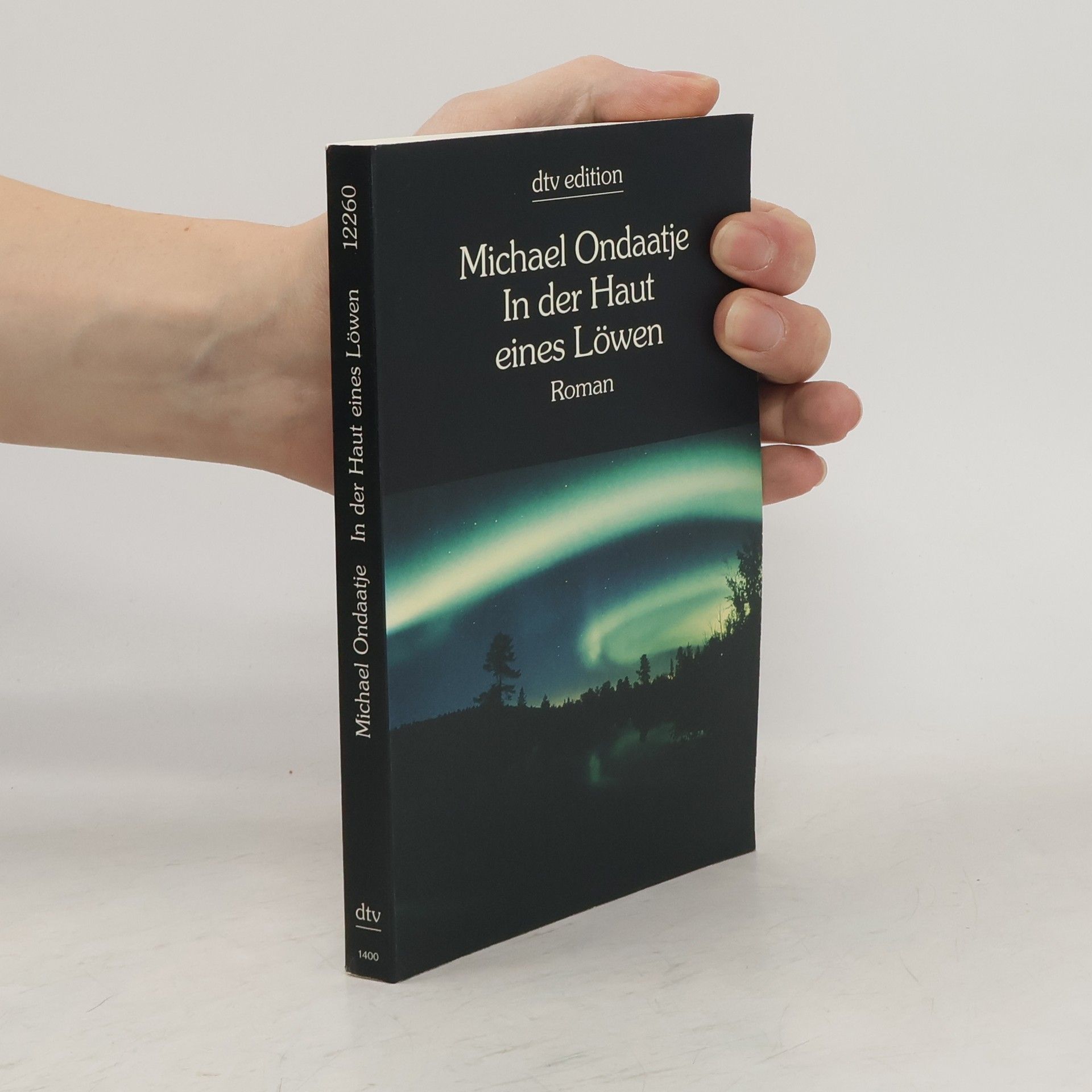 Michael Ondaatje In der Haut eines Löwen