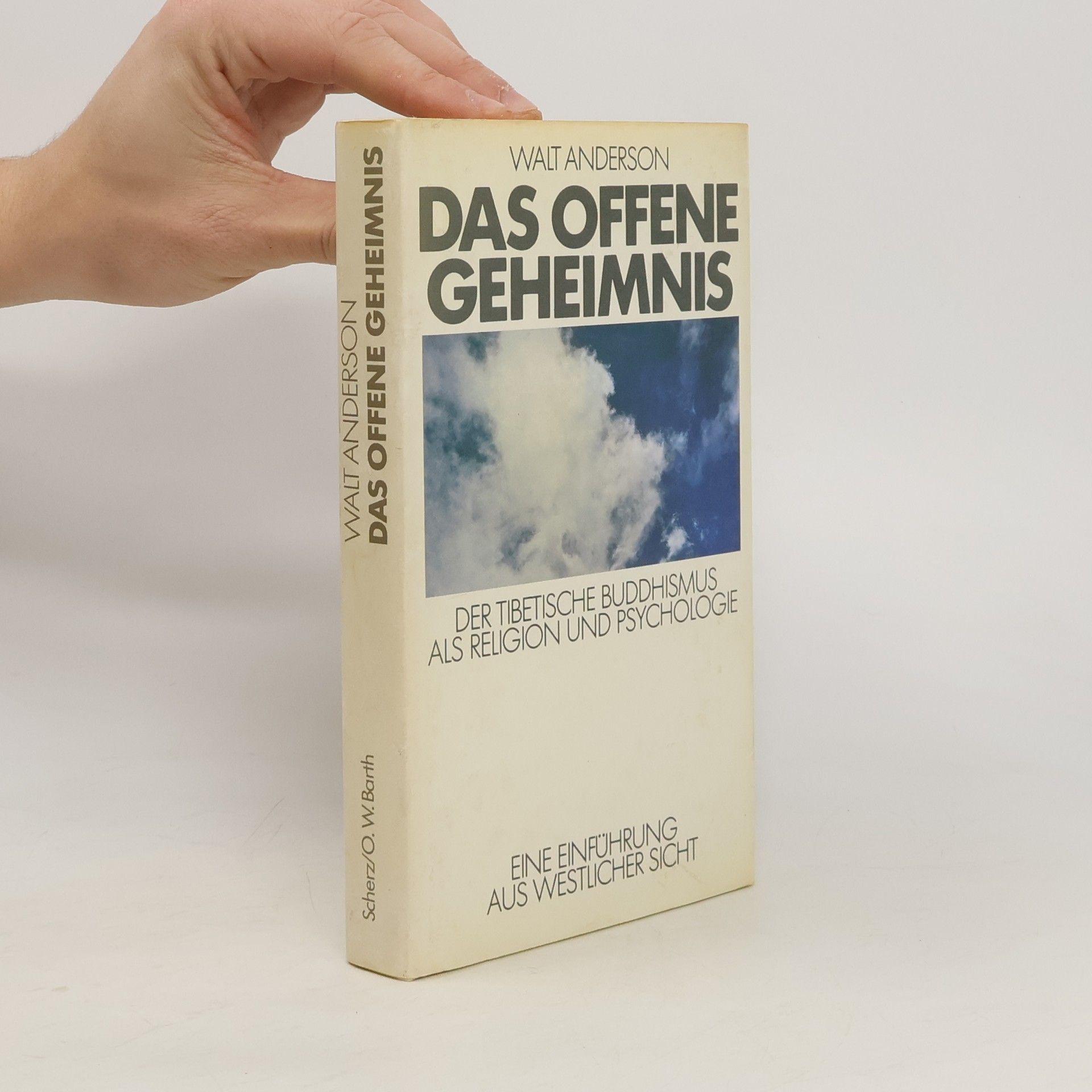 Walt Anderson Das offene geheimnis