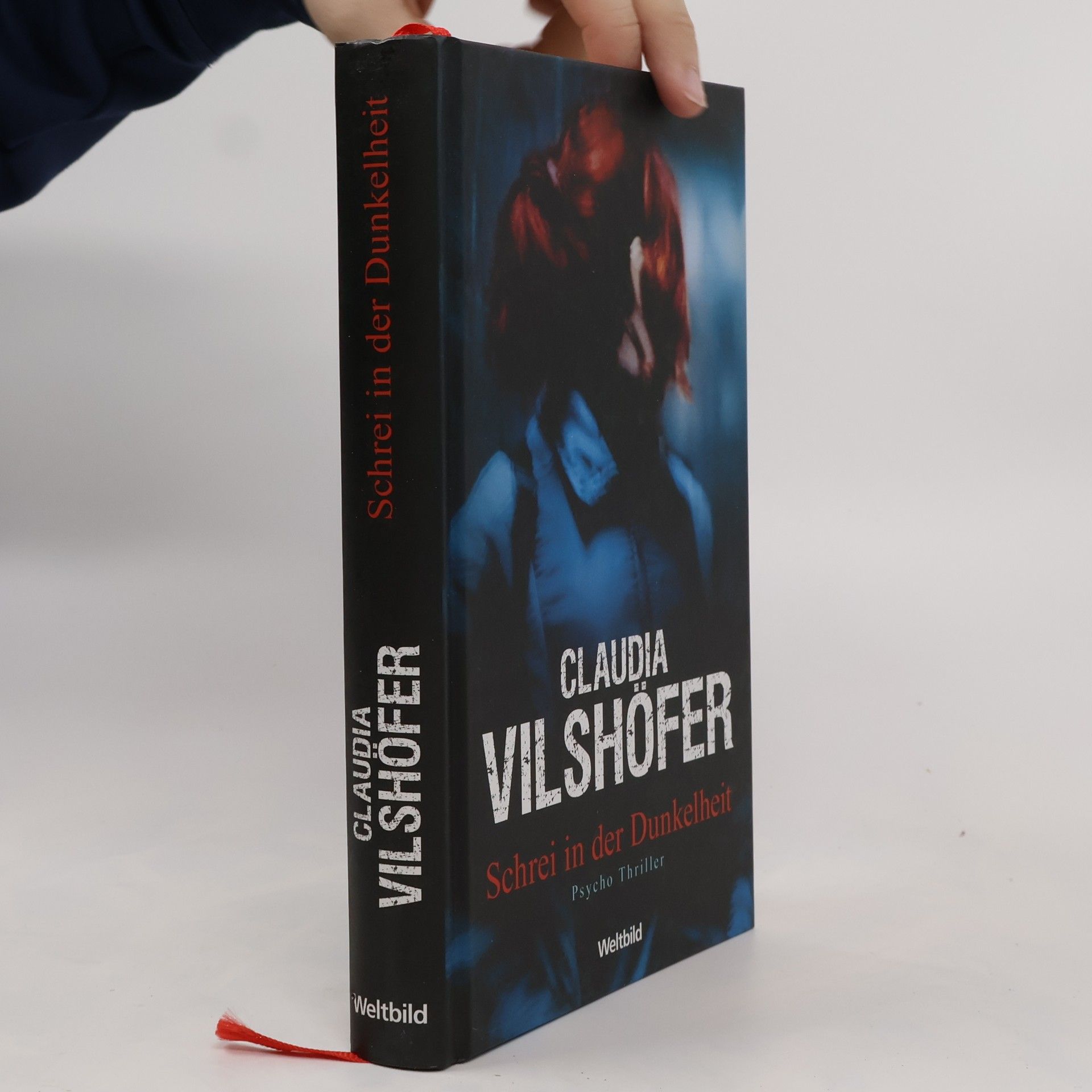 Claudia Vilshöfer Schrei in der Dunkelheit