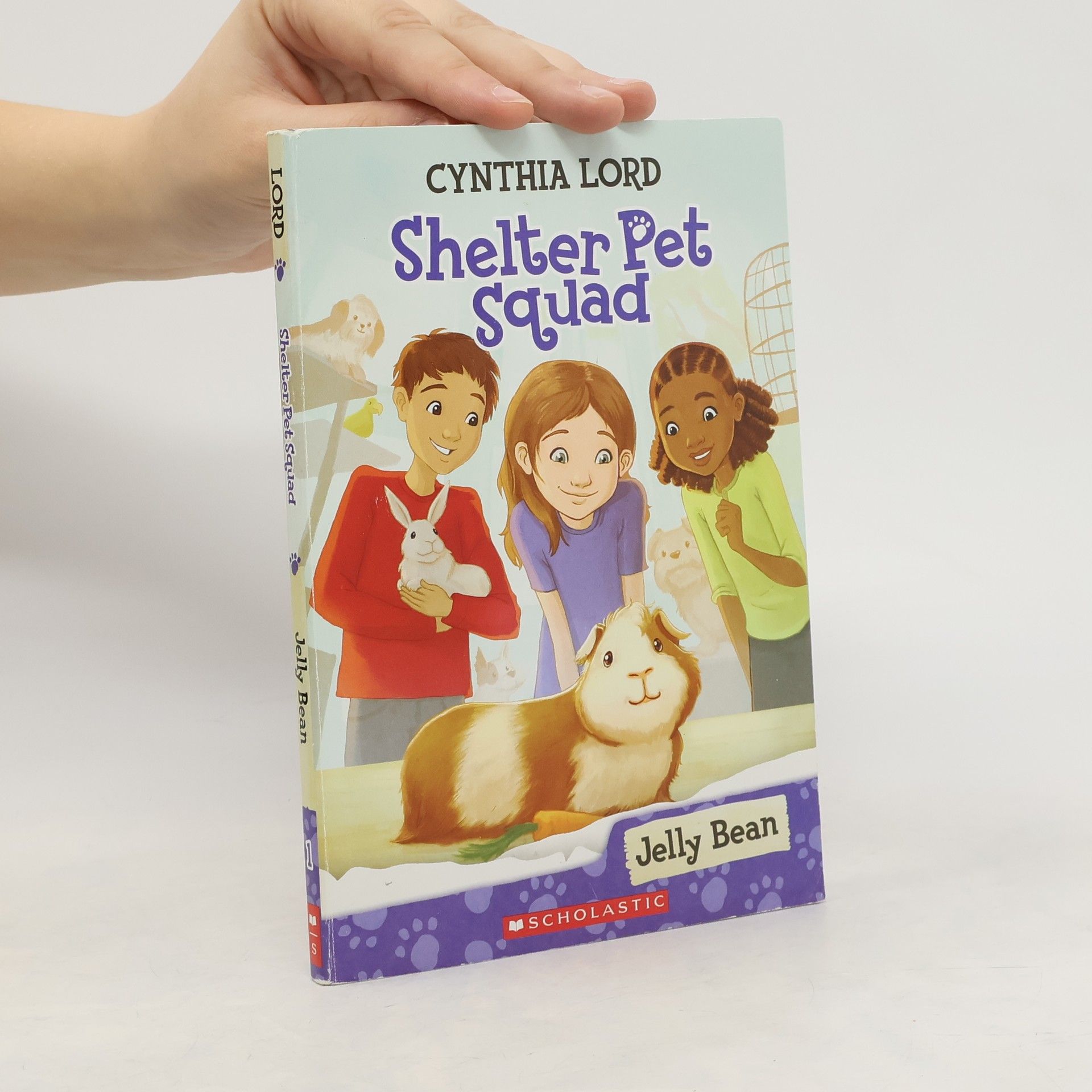 Cynthia Lord Shelter Pet Squad