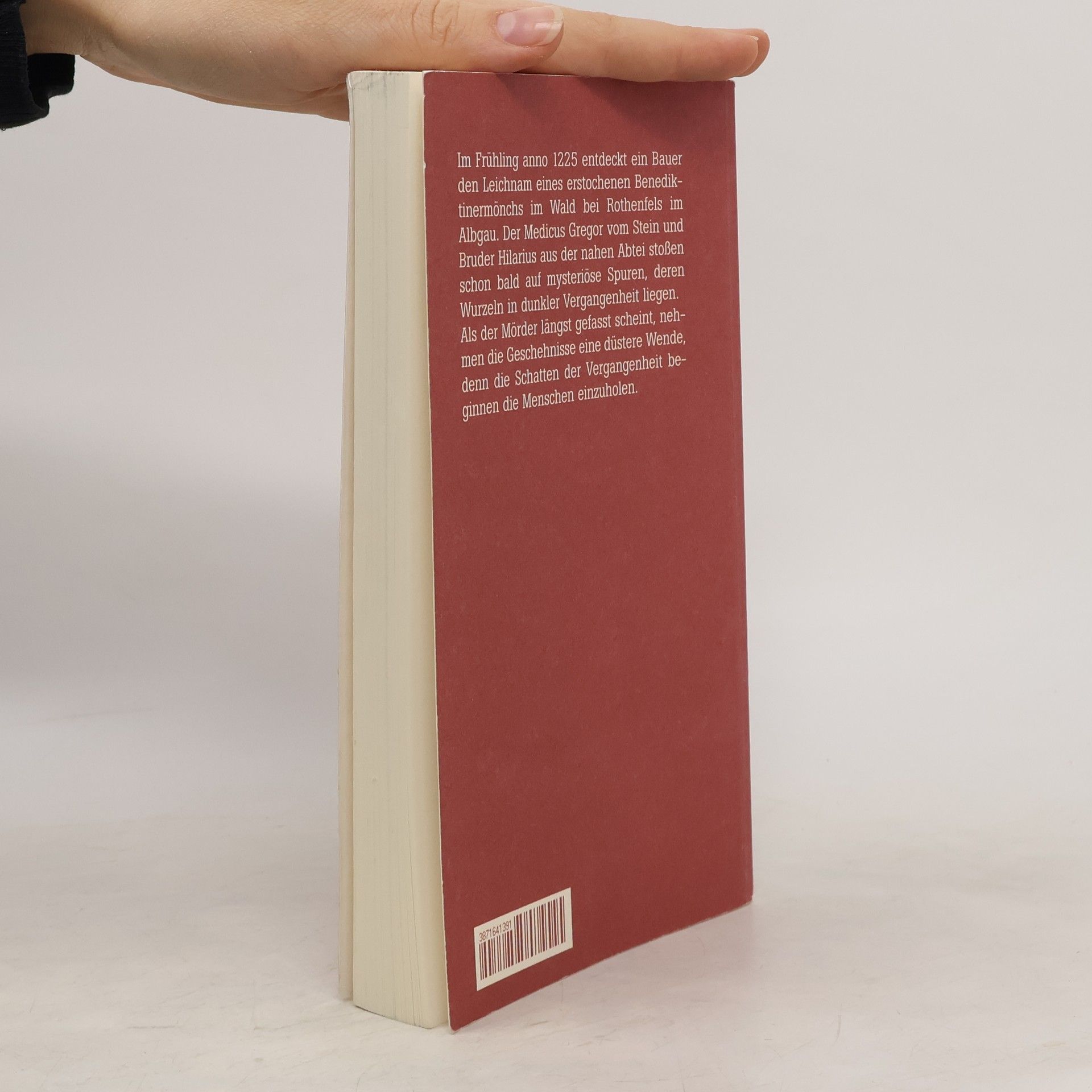 Horst Gerhold Rothenfels. Schatten der Vergangenheit