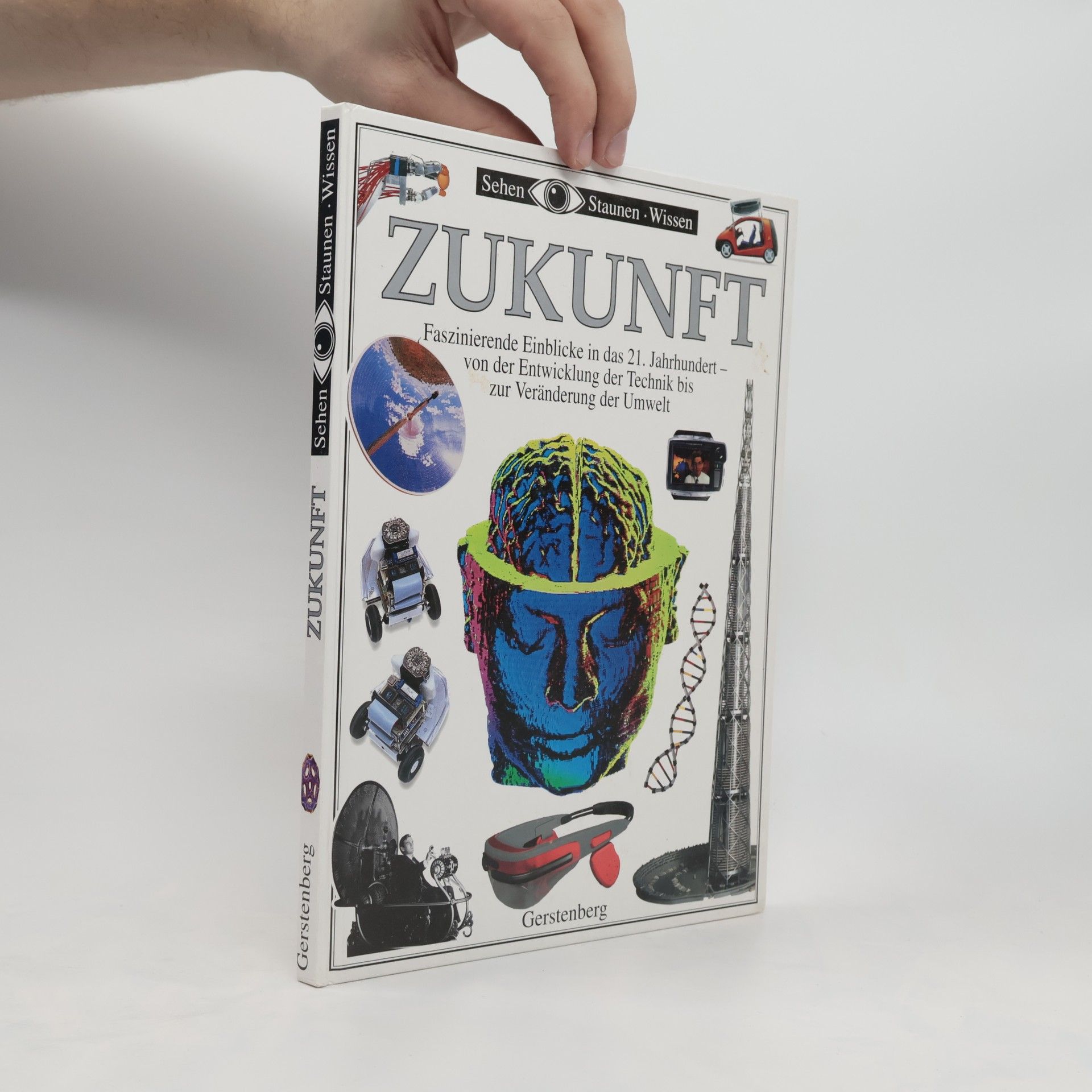 Michael Tambini Zukunft