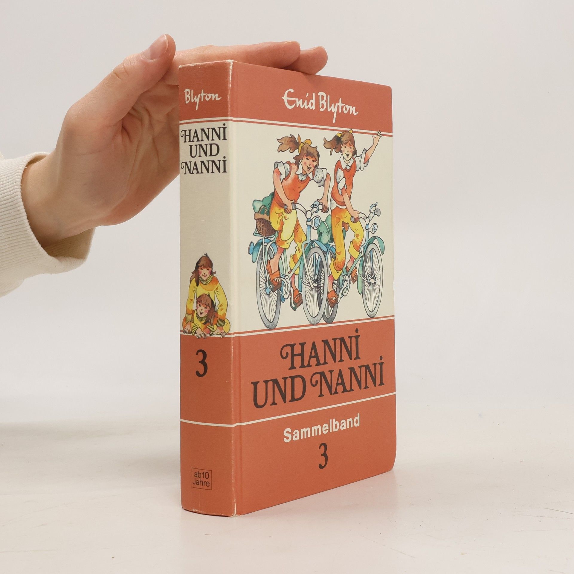 Enid Blyton Hanni und Nanni 3