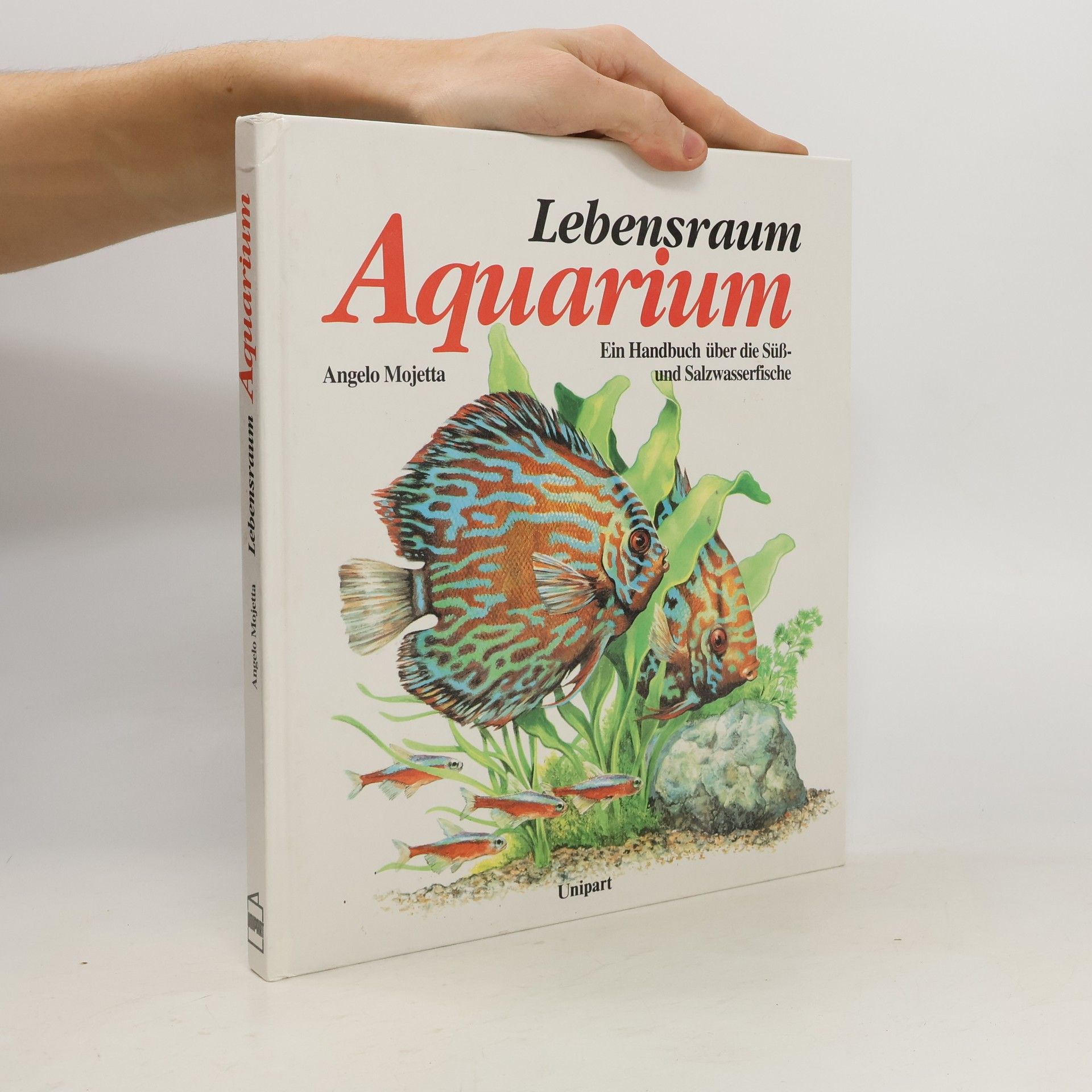 Angelo Mojetta Lebensraum Aquarium