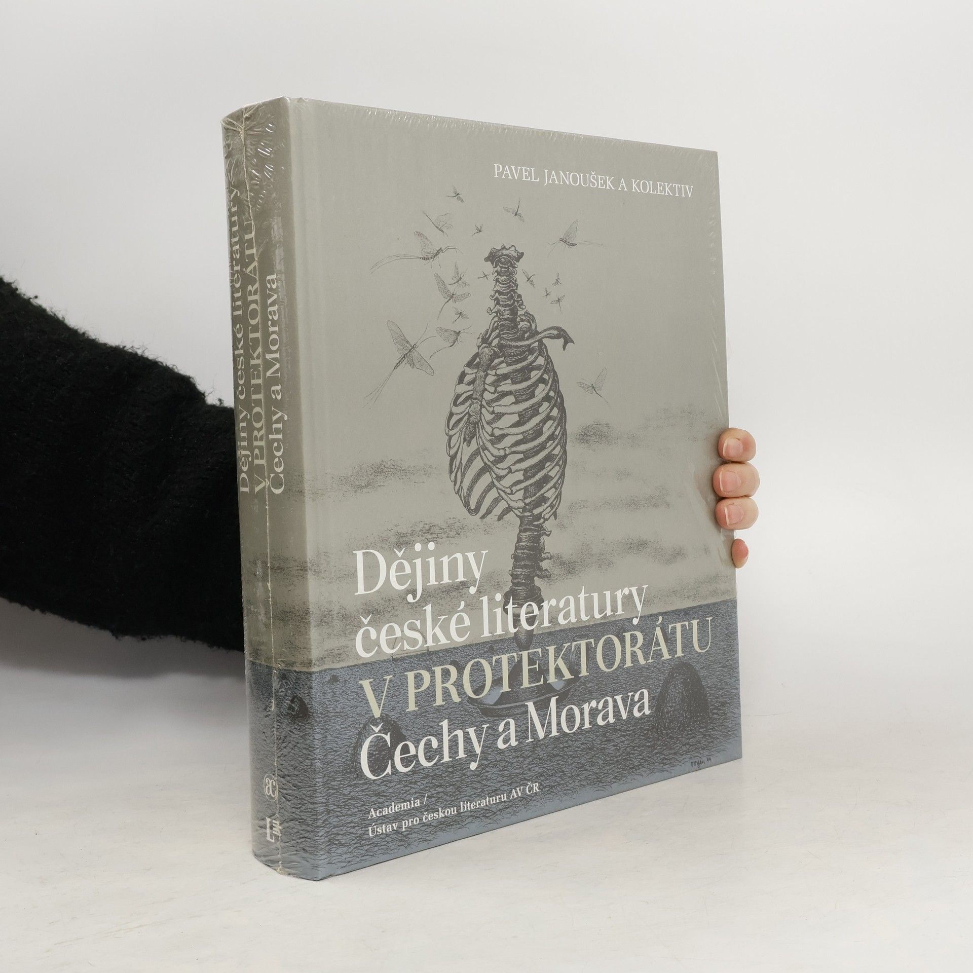 Iva Málková Dějiny české literatury v Protektorátu Čechy a Morava