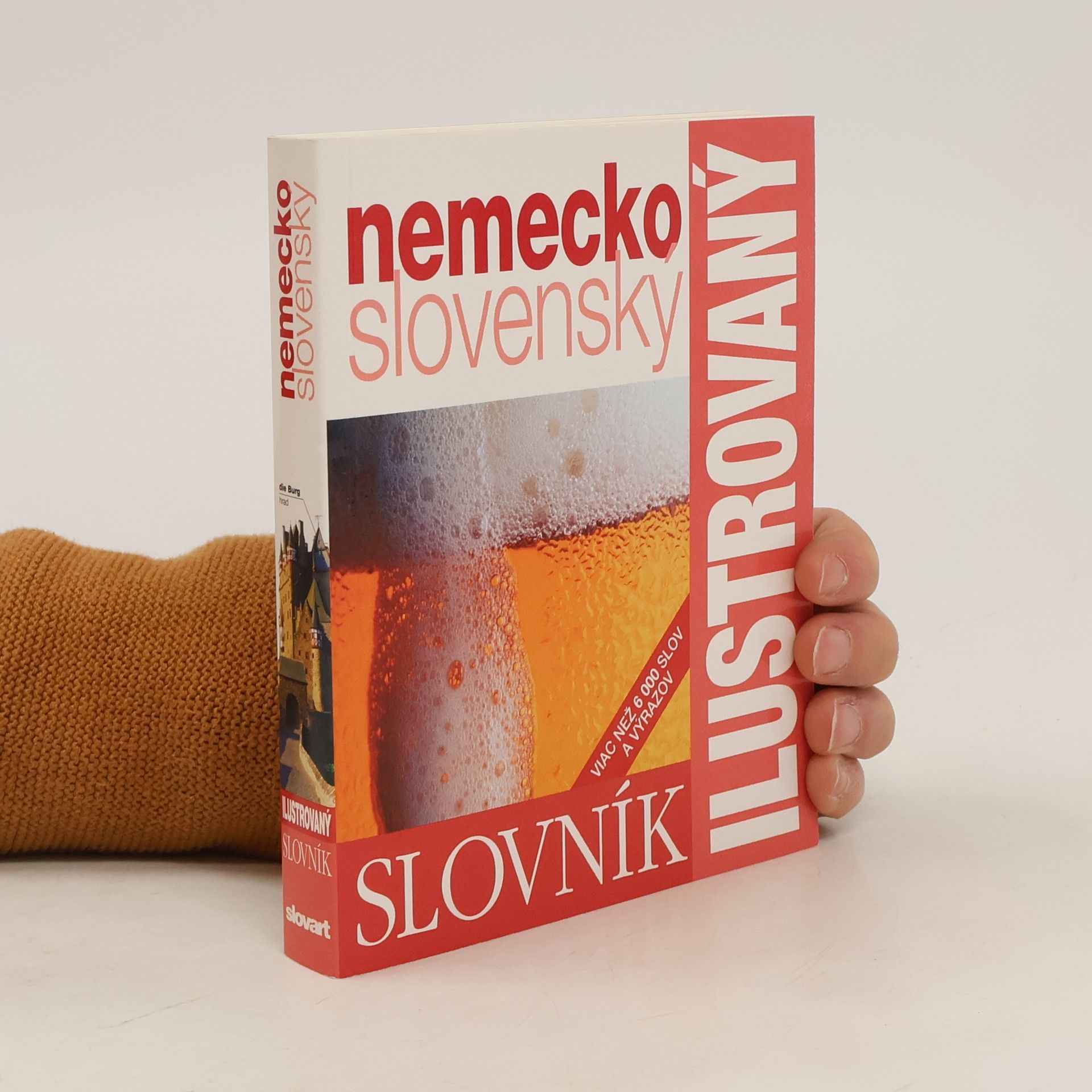 Autorenkollektiv Ilustrovaný slovník nemecko-slovenský