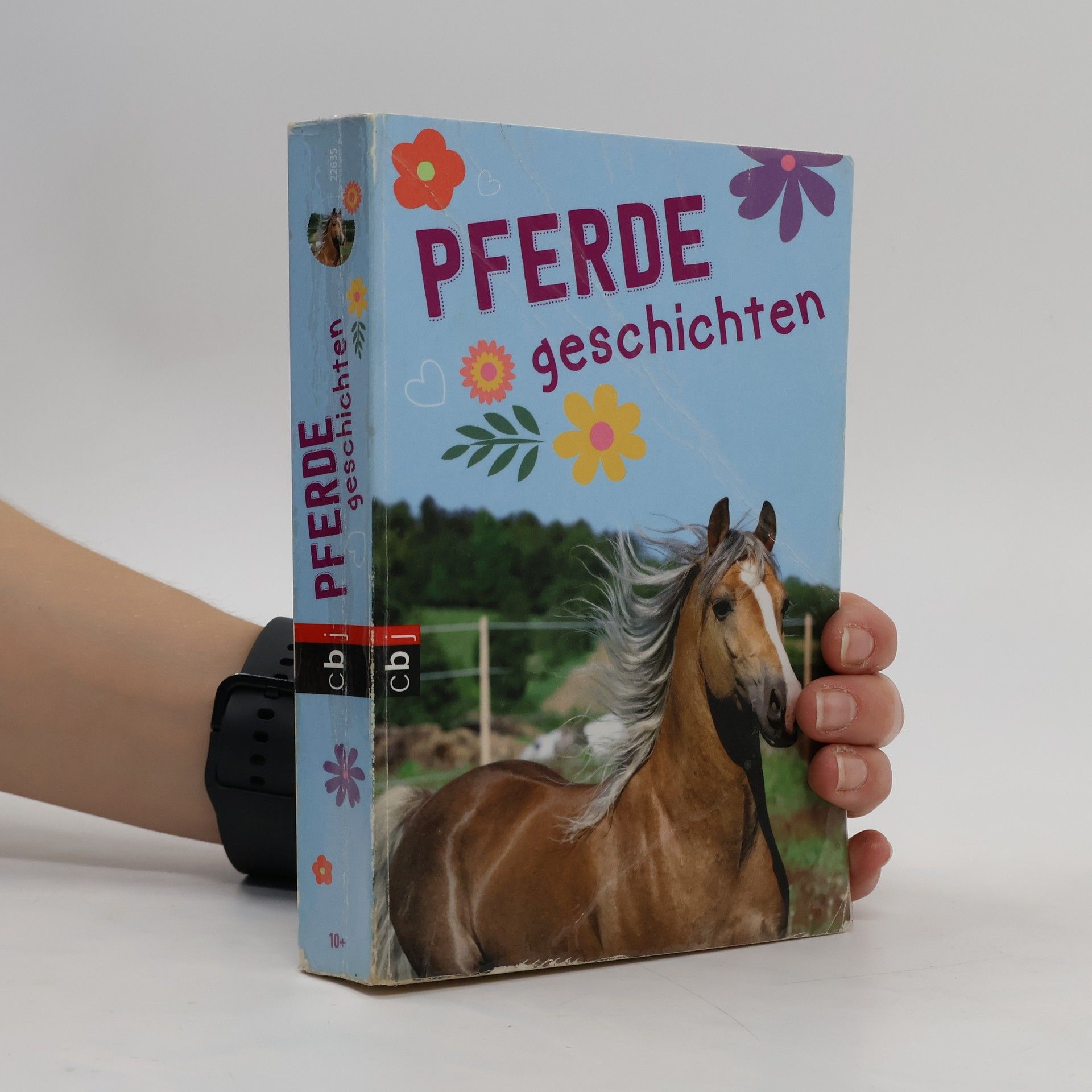 Christiane Gohl Pferdegeschichten