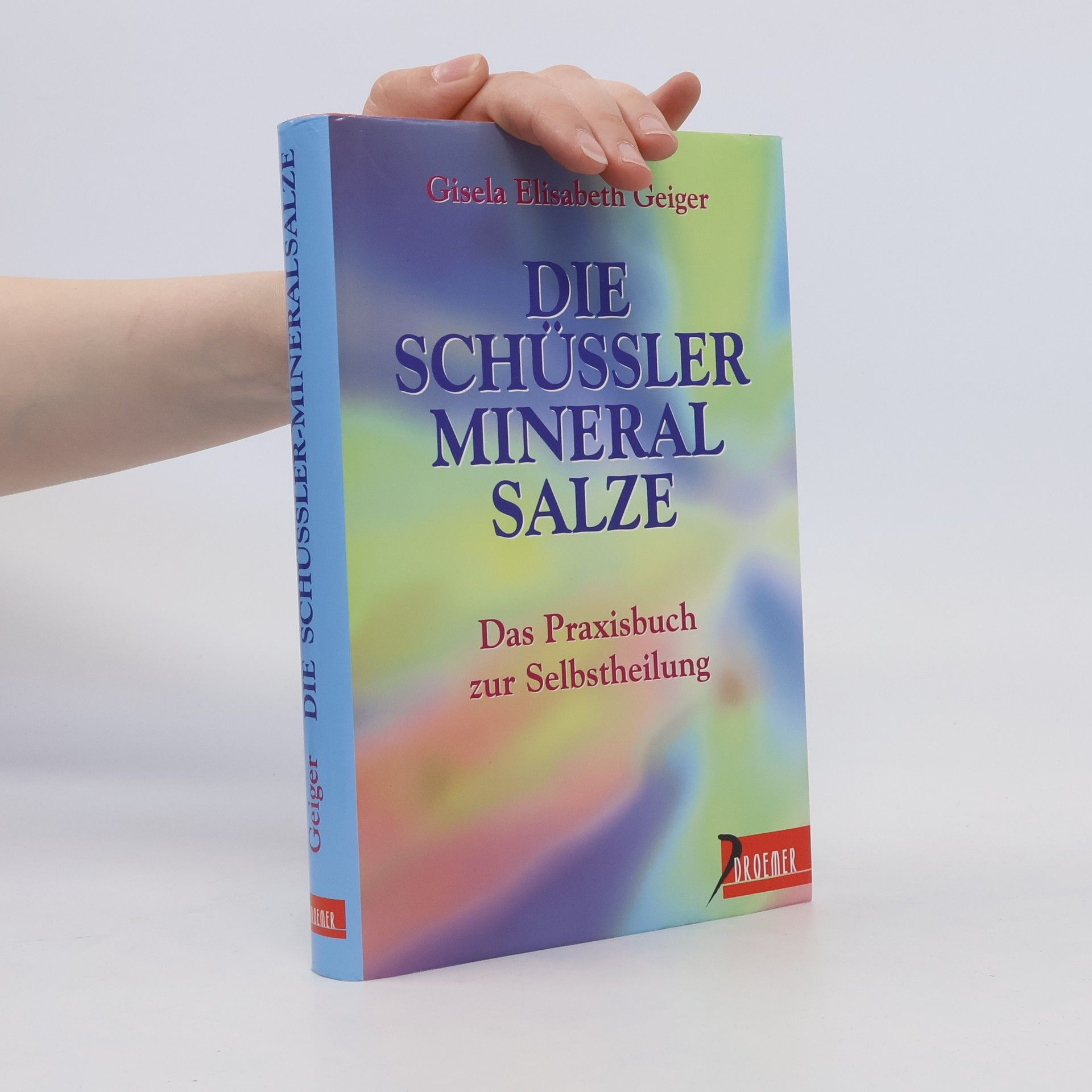 Gisela Elisabeth Geiger Die Schüssler-Mineralsalze