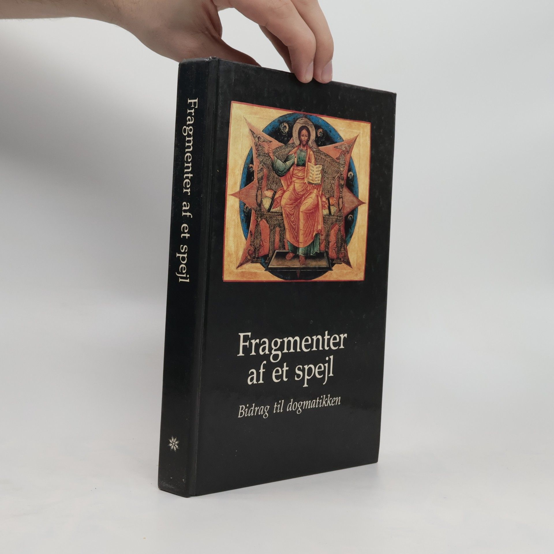 Collective Fragmenter af et spejl