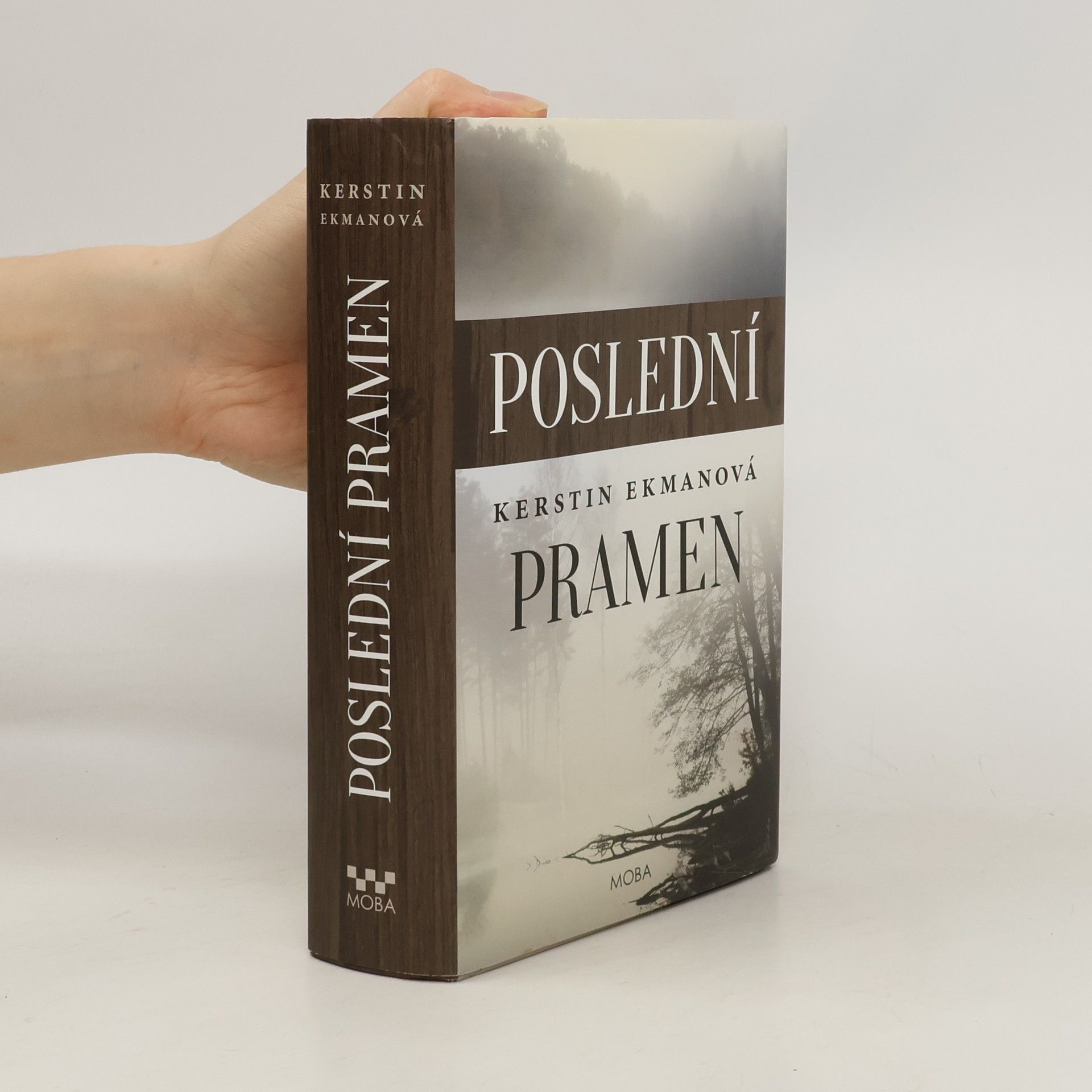 Kerstin Ekman Poslední pramen