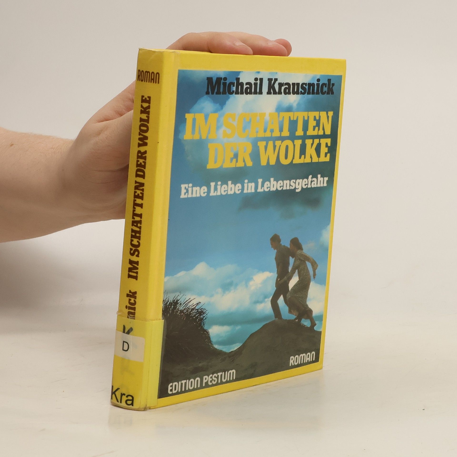 Michail Krausnick Im Schatten der Wolke: Liebe in Lebensgefahr
