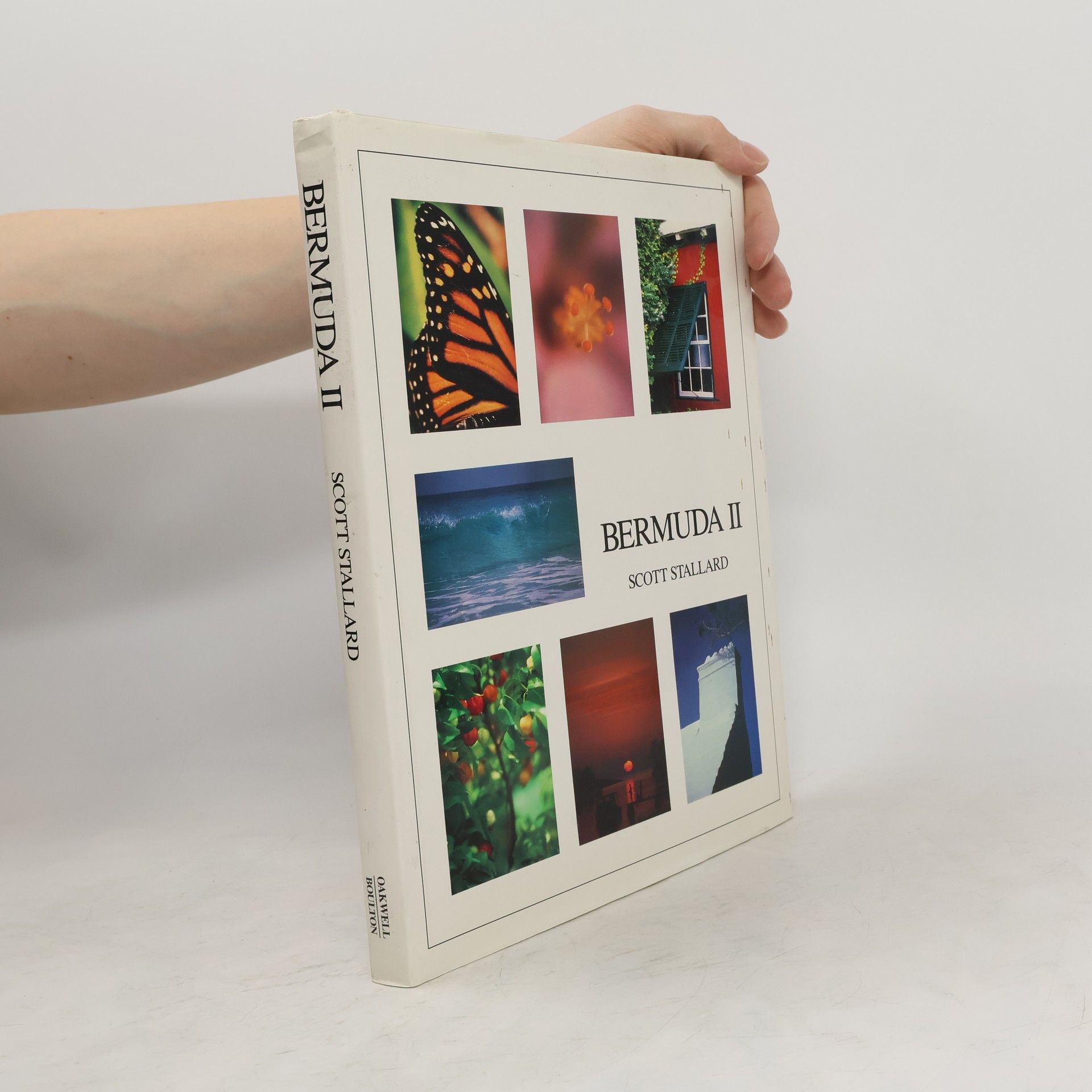 Scott Stallard Bermuda II