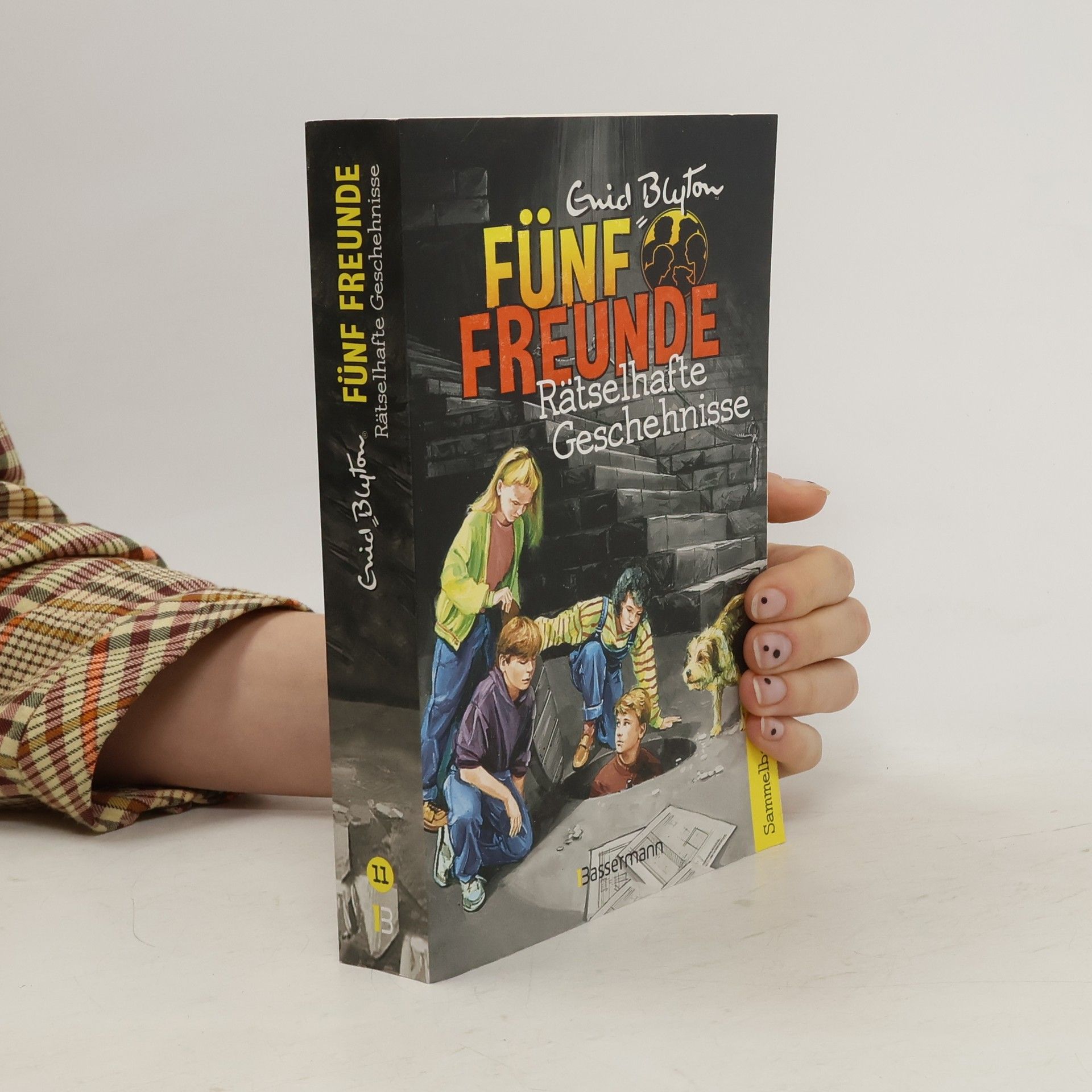 Enid Blyton Fünf Freunde - rätselhafte Geschehnisse