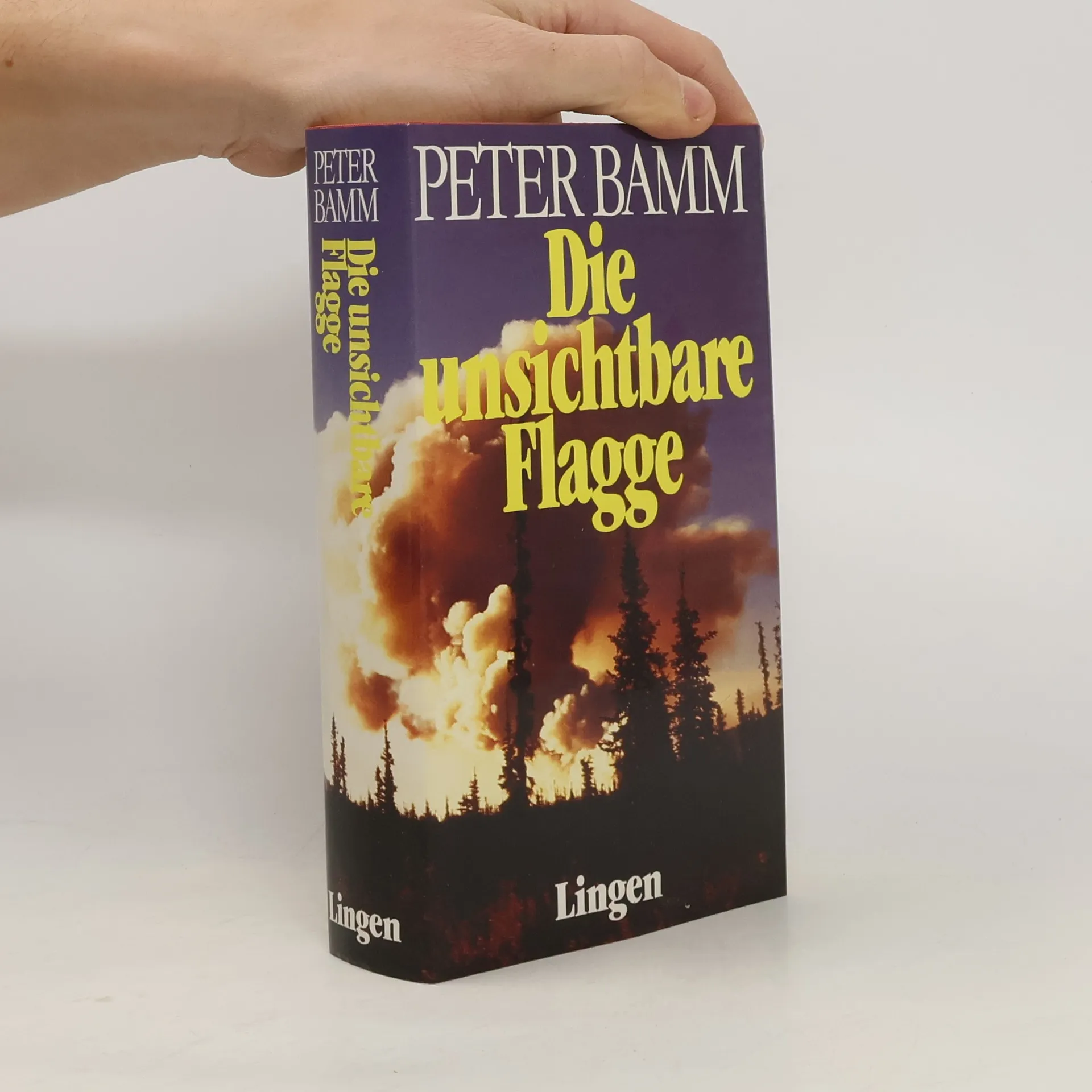 Die unsichtbare Flagge | Buch | Peter Bamm