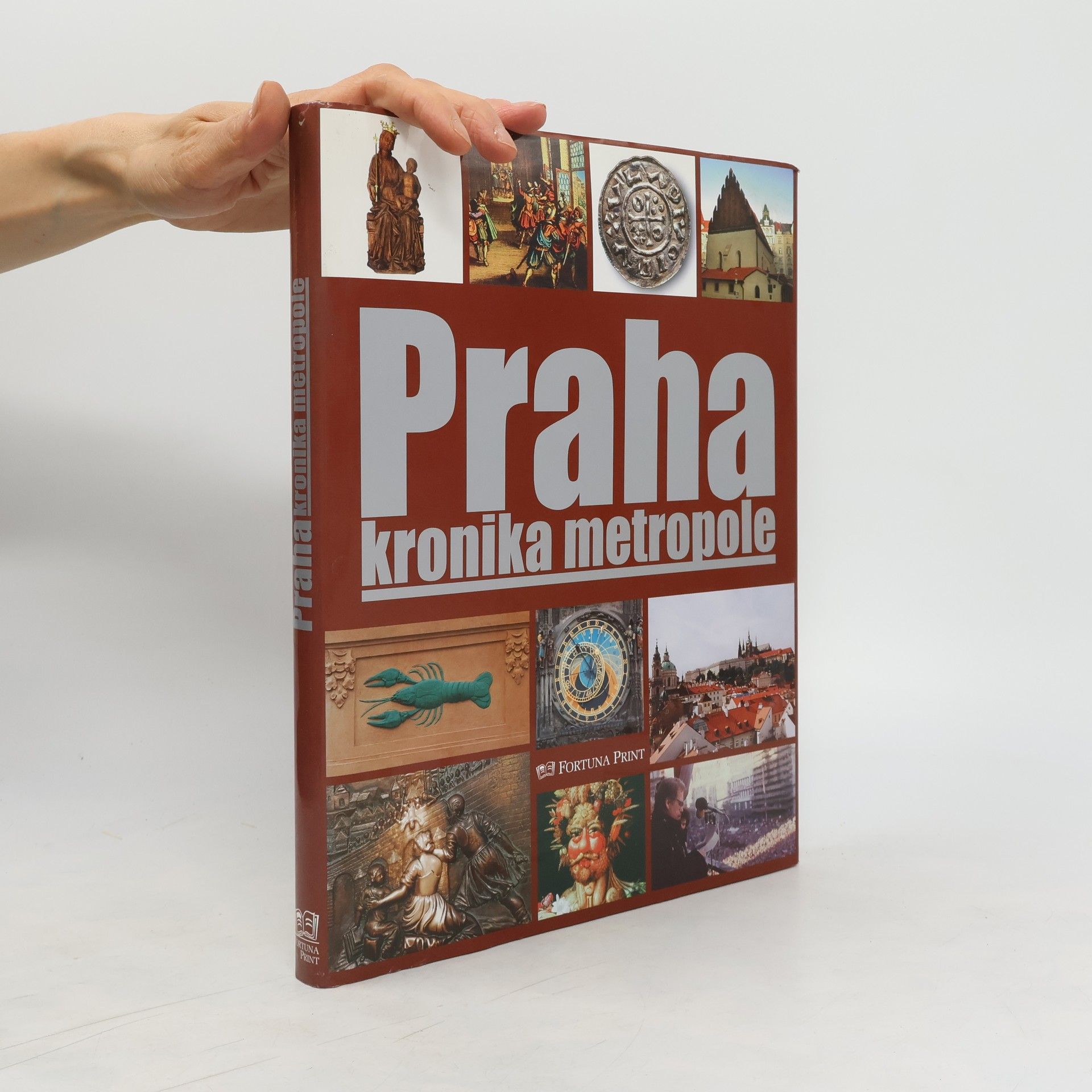 Pavel Bělina Praha : kronika metropole
