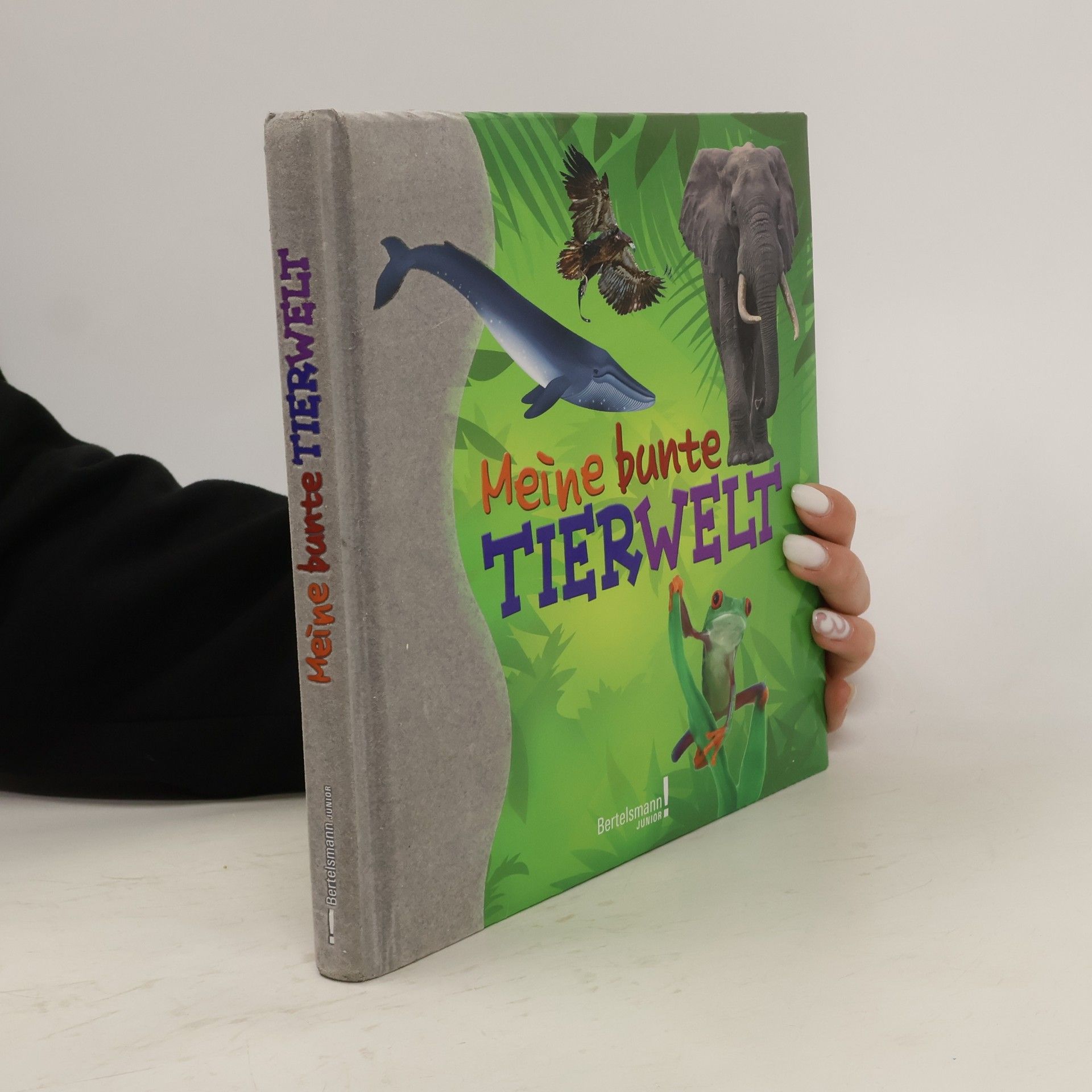 Antje Kleinelümern-Depping Meine bunte Tierwelt