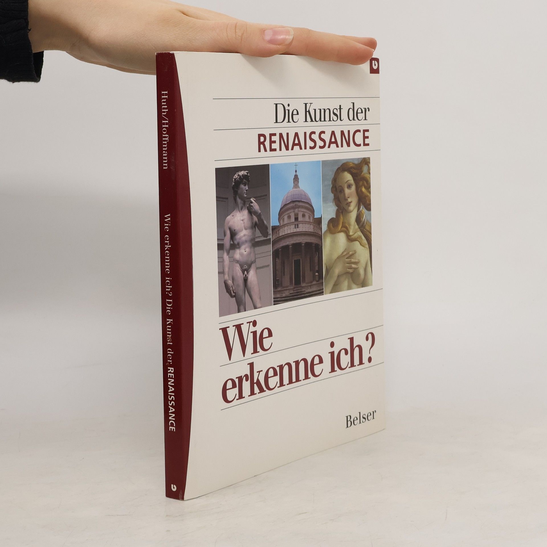 Astrid Koke Wie erkenne ich? - die Kunst der Renaissance