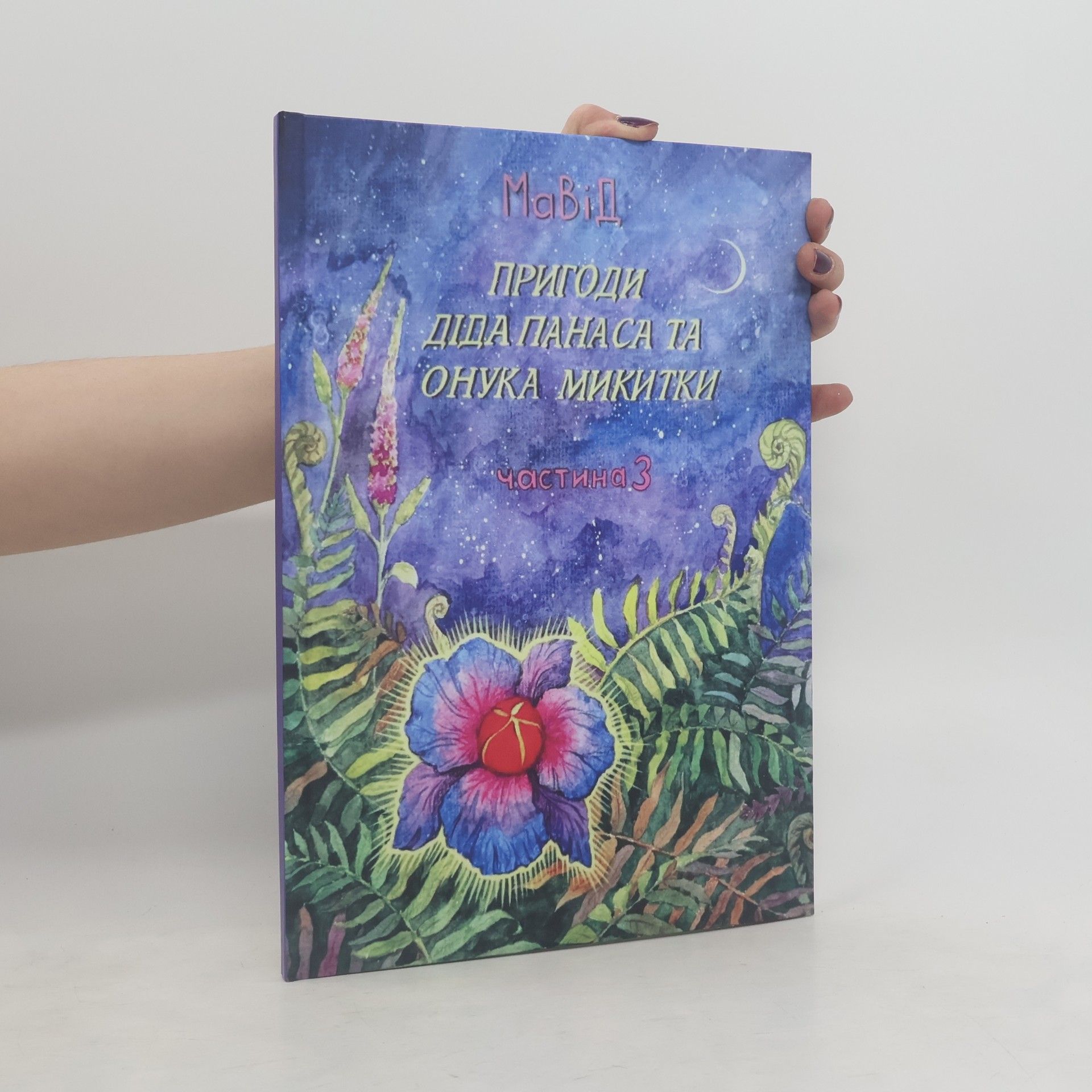 Collectif d'auteurs Пригоди дида панаса та онука микитки 3