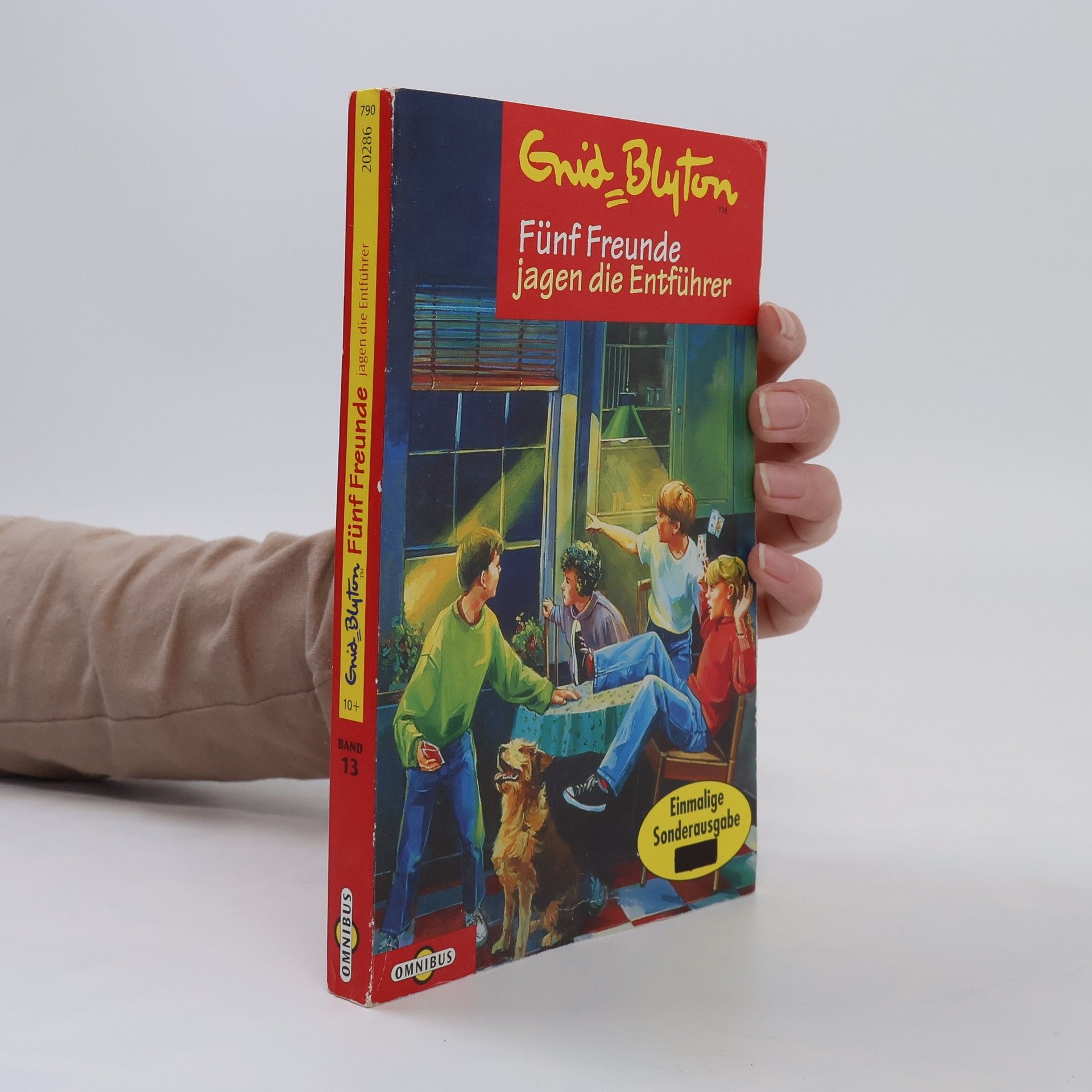Enid Blyton Fünf Freunde jagen die Entführer