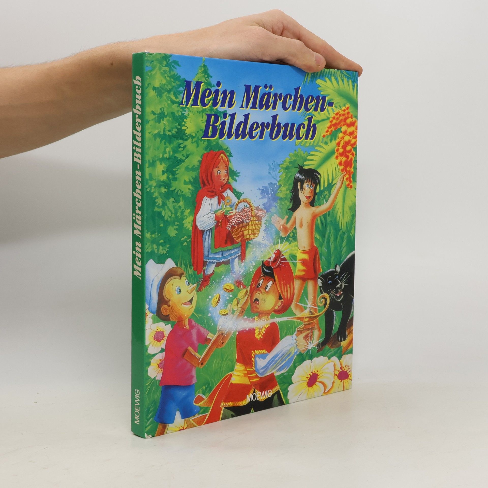 AA.VV. Mein Märchen-Bilderbuch
