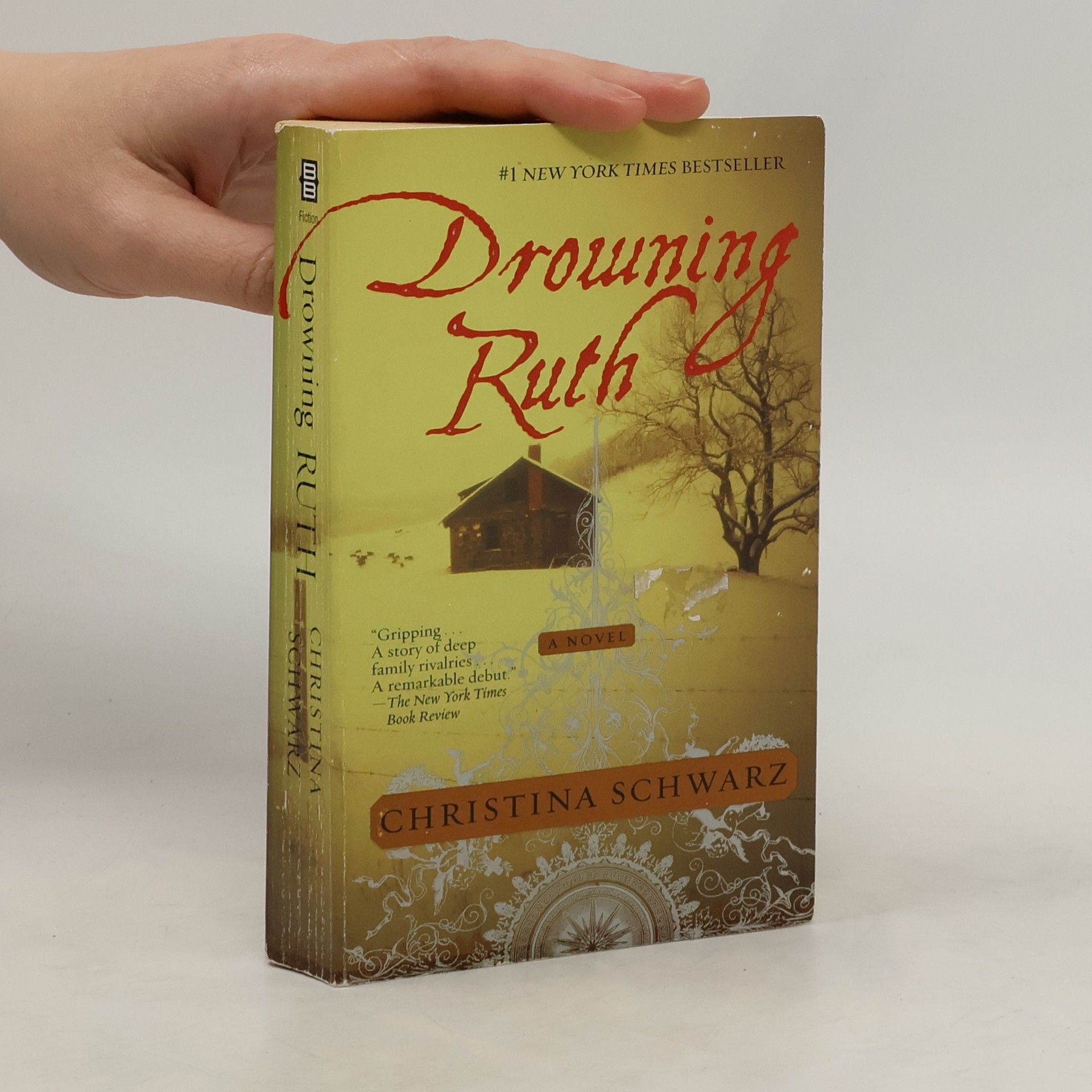 Christina Schwarz. Drowning Ruth