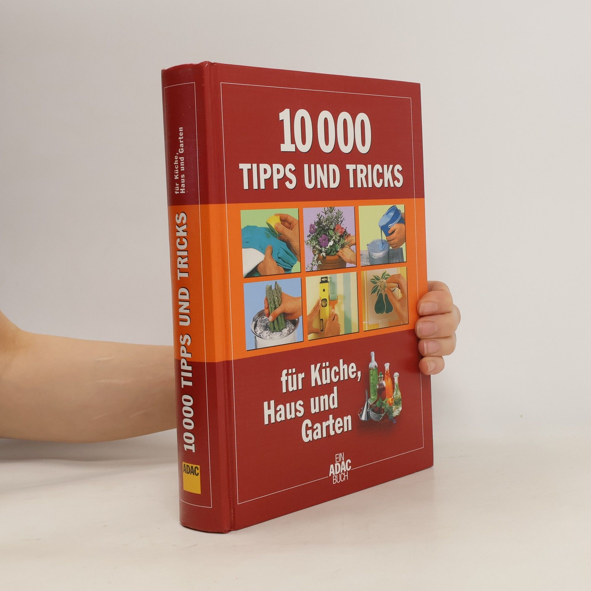 Cornelia Schubert 10000 Tipps und Tricks