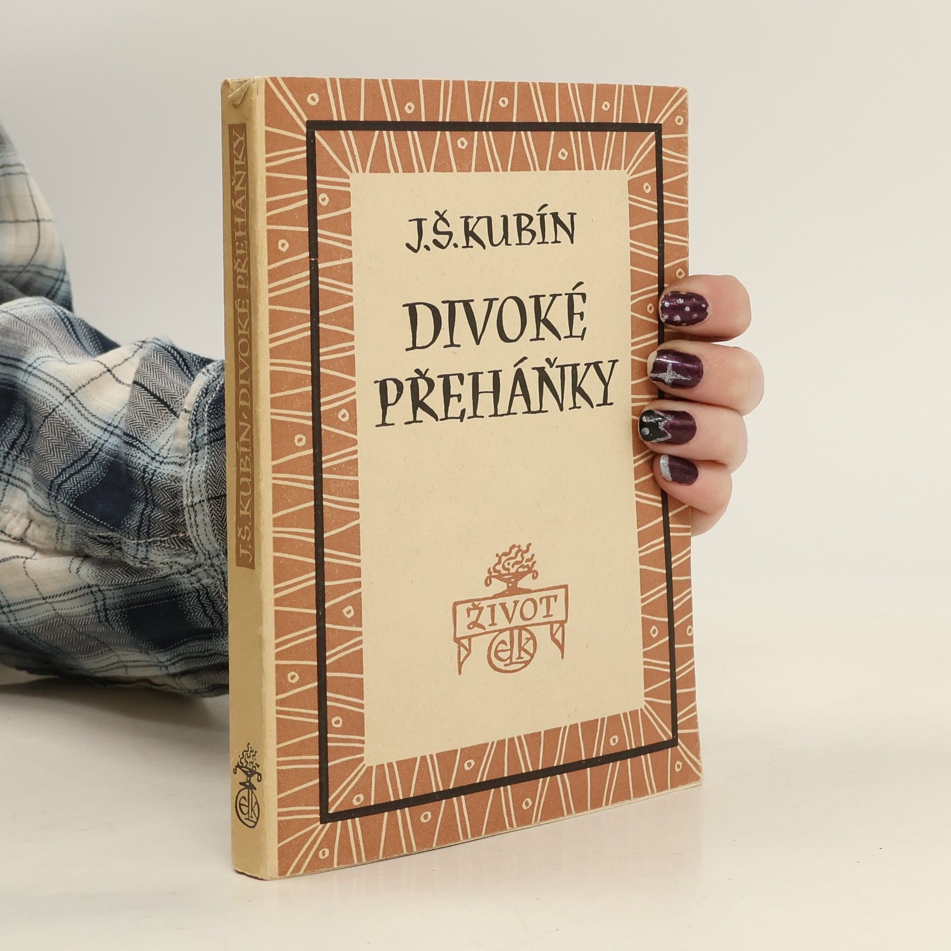 Josef Štefan Kubín Divoké přeháňky