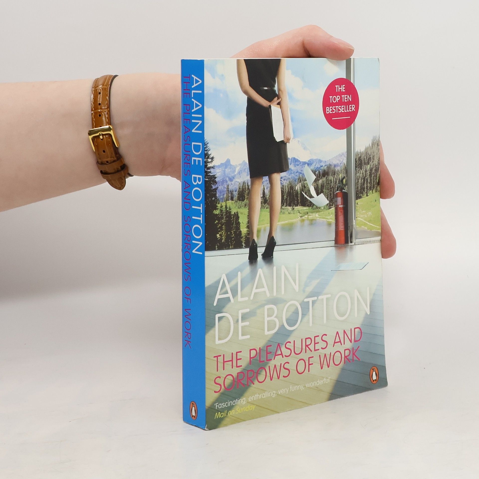 Alain de Botton The Pleasures and Sorrows of Work