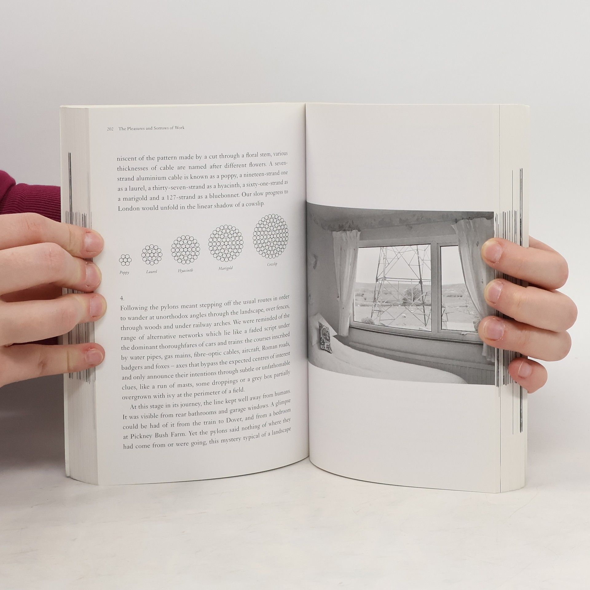 Alain de Botton The Pleasures and Sorrows of Work