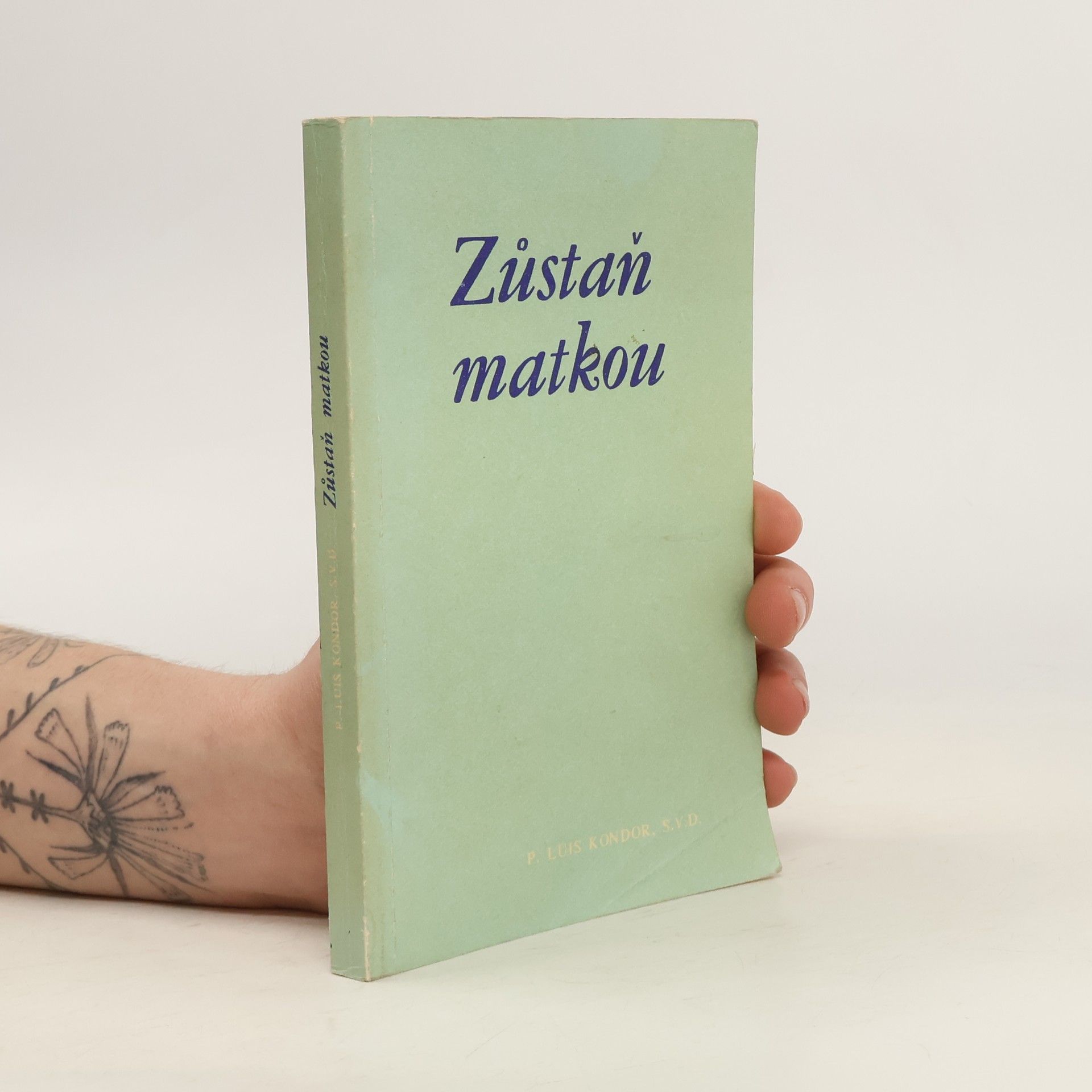 Luis Kondor Zůstaň matkou