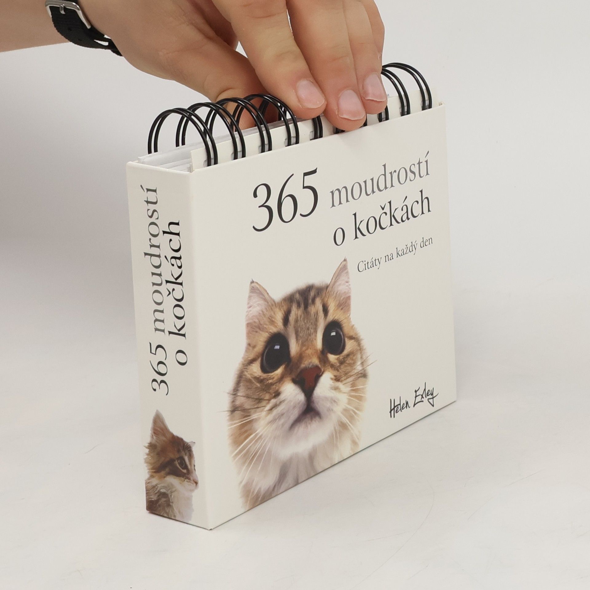 Helen Exley 365 moudrostí o kočkách. Citáty na každý den