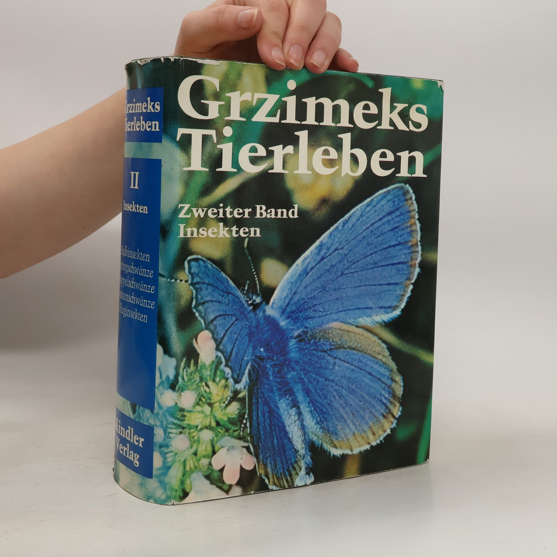 Autorenkollektiv Grzimeks Tierleben II. Insekten