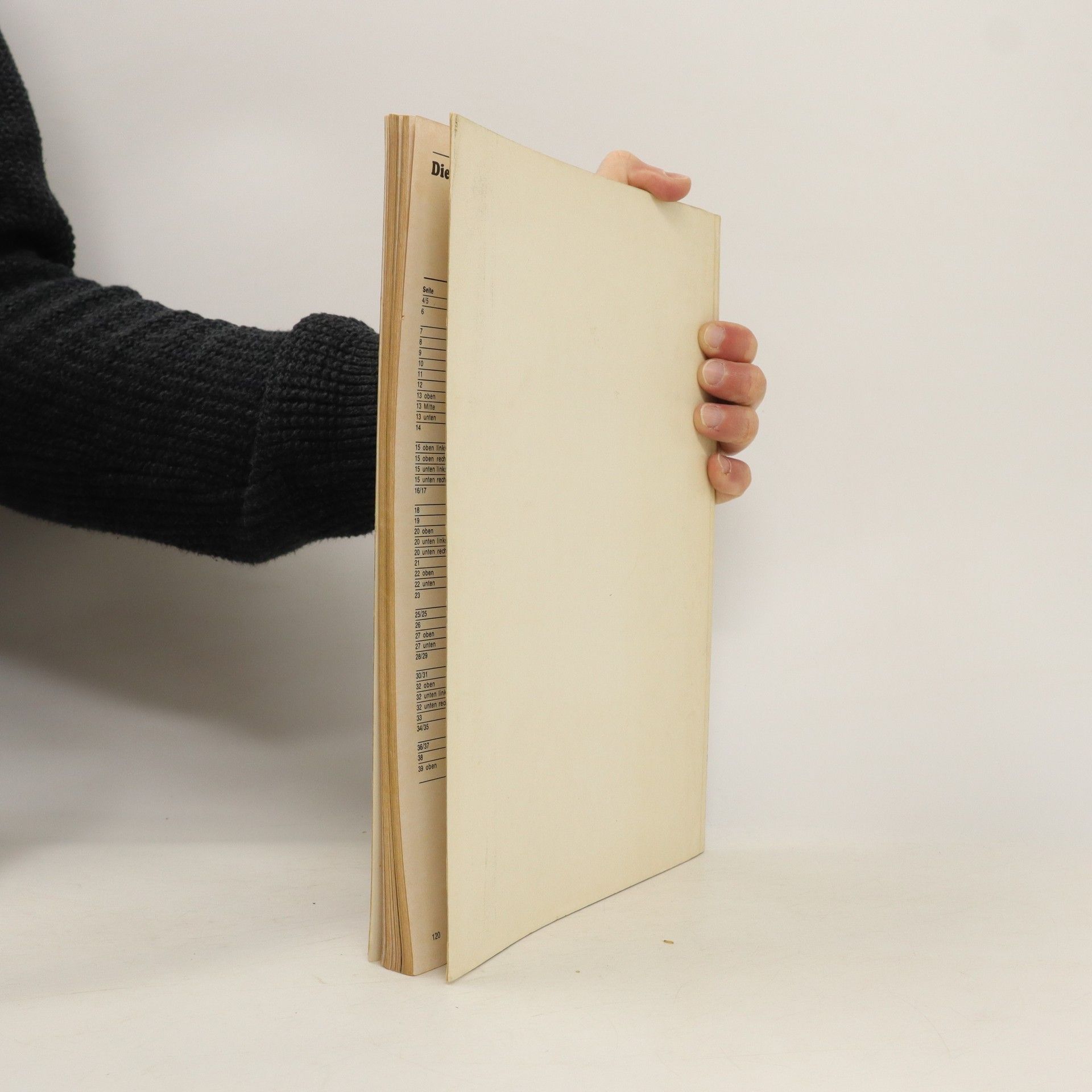 Collectif d'auteurs Das Tor des Jahrhunderts