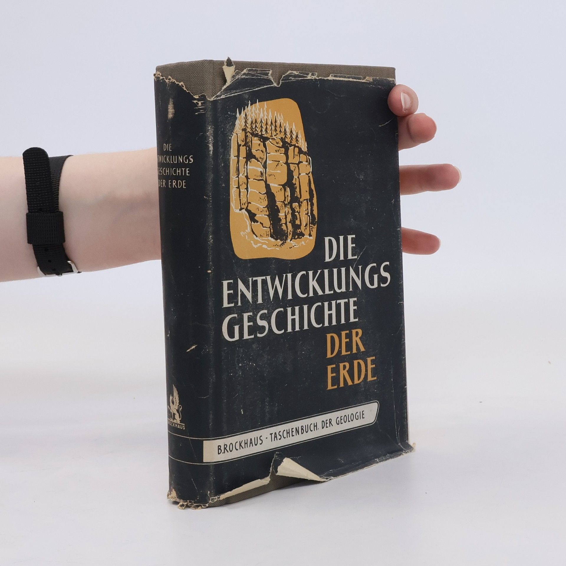 kolektiv Die Entwicklungsgeschichte der Erde