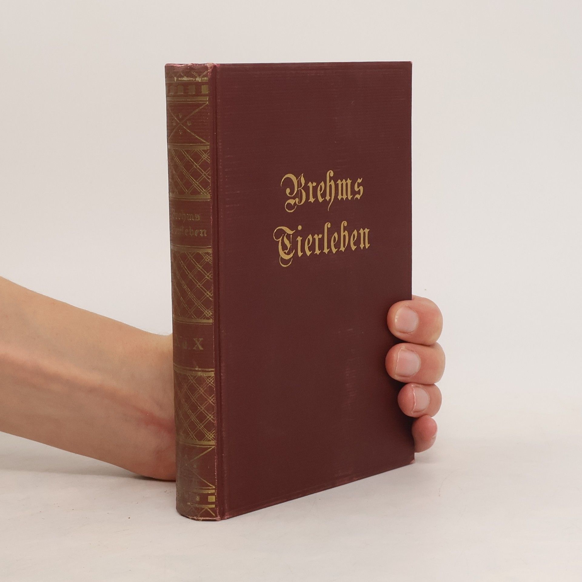 Otto Evers Brehms Tierleben IX-X