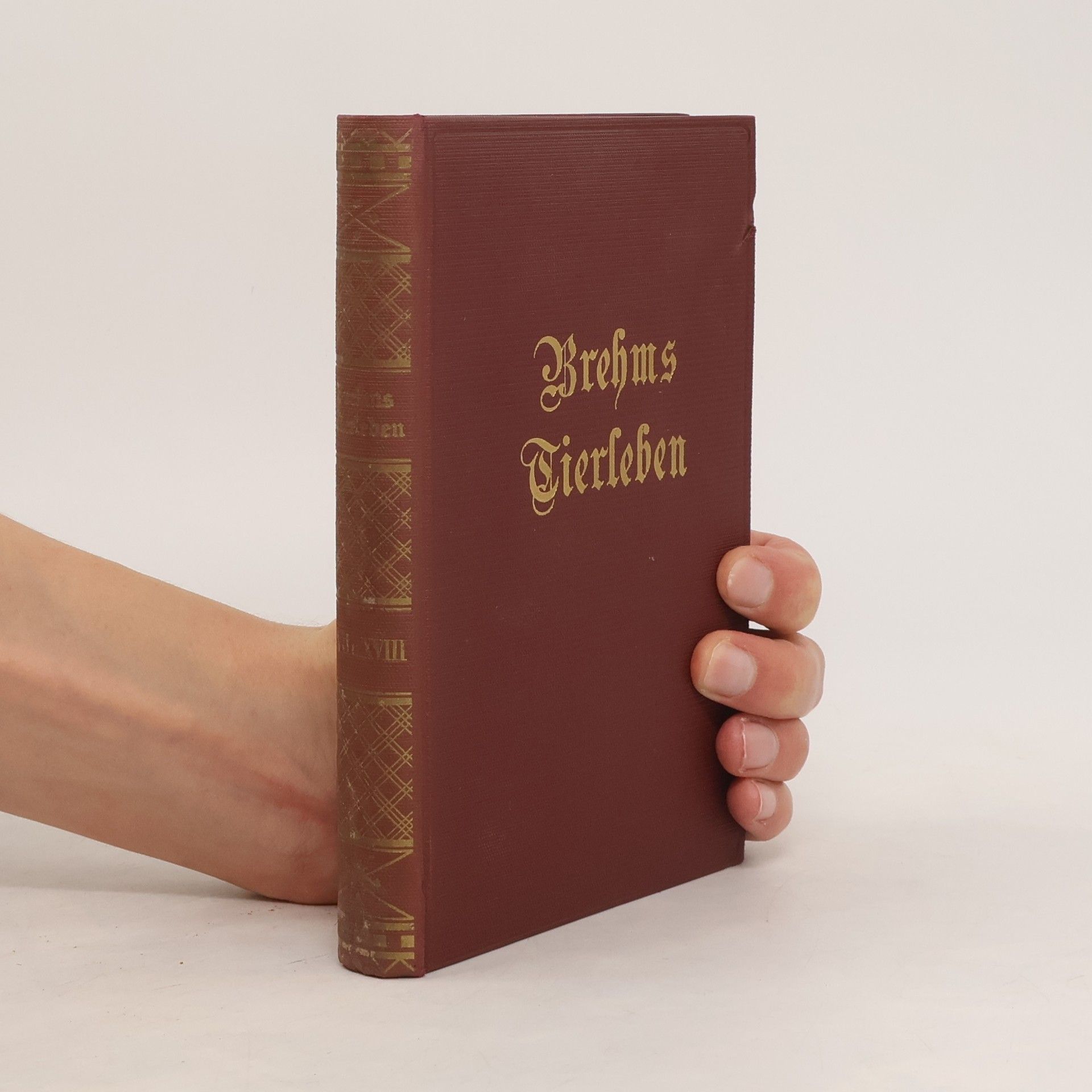 Otto Evers Brehms Tierleben XVII-XVIII