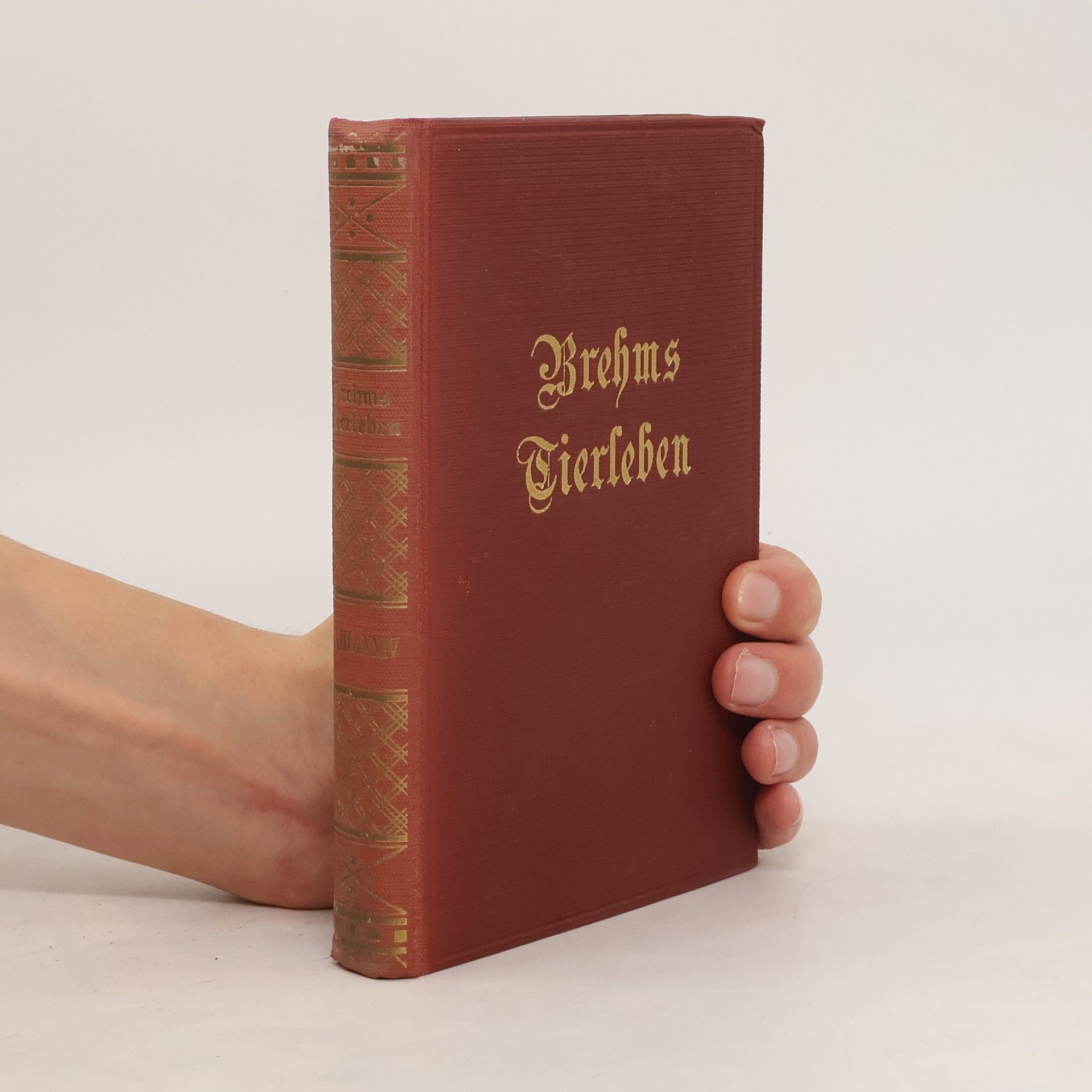 Adolf Meyer Brehms Tierleben Band 23