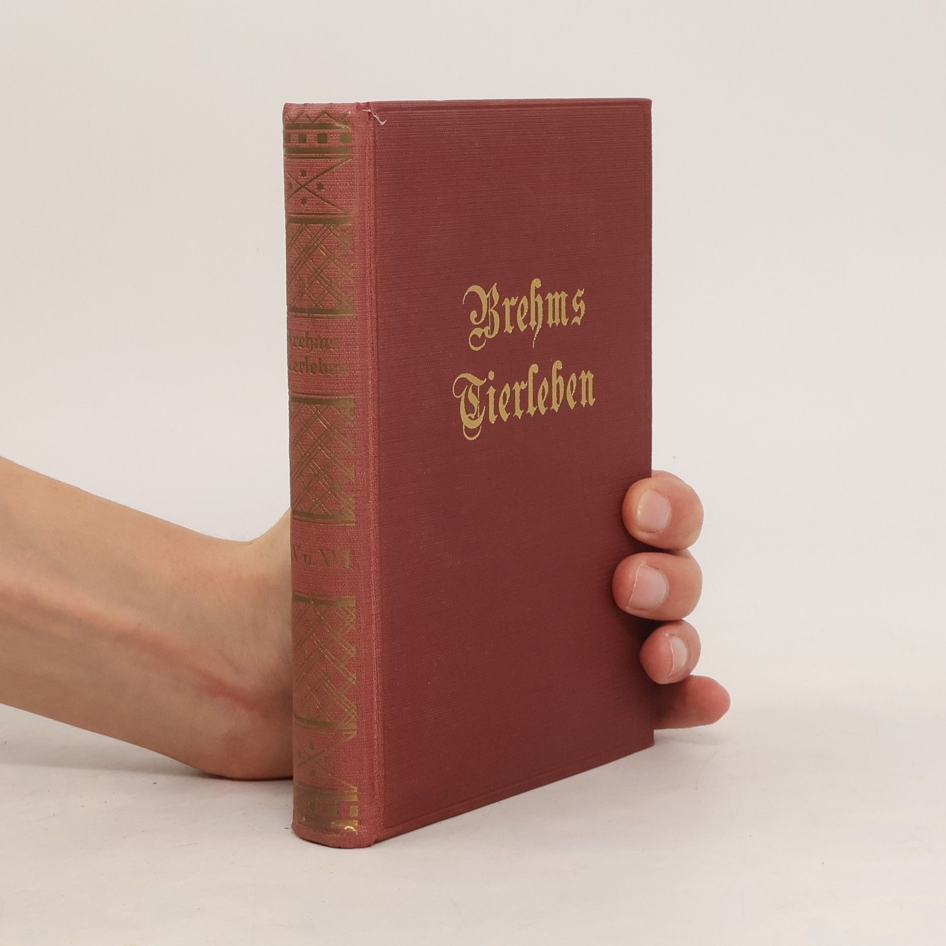 Otto Evers Brehms Tierleben 15. Vögel